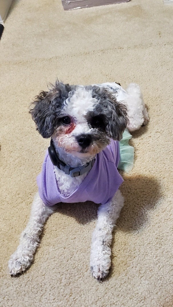 Photo 3 of 4 — Doris Jan 26 In Foster in Cary, NC