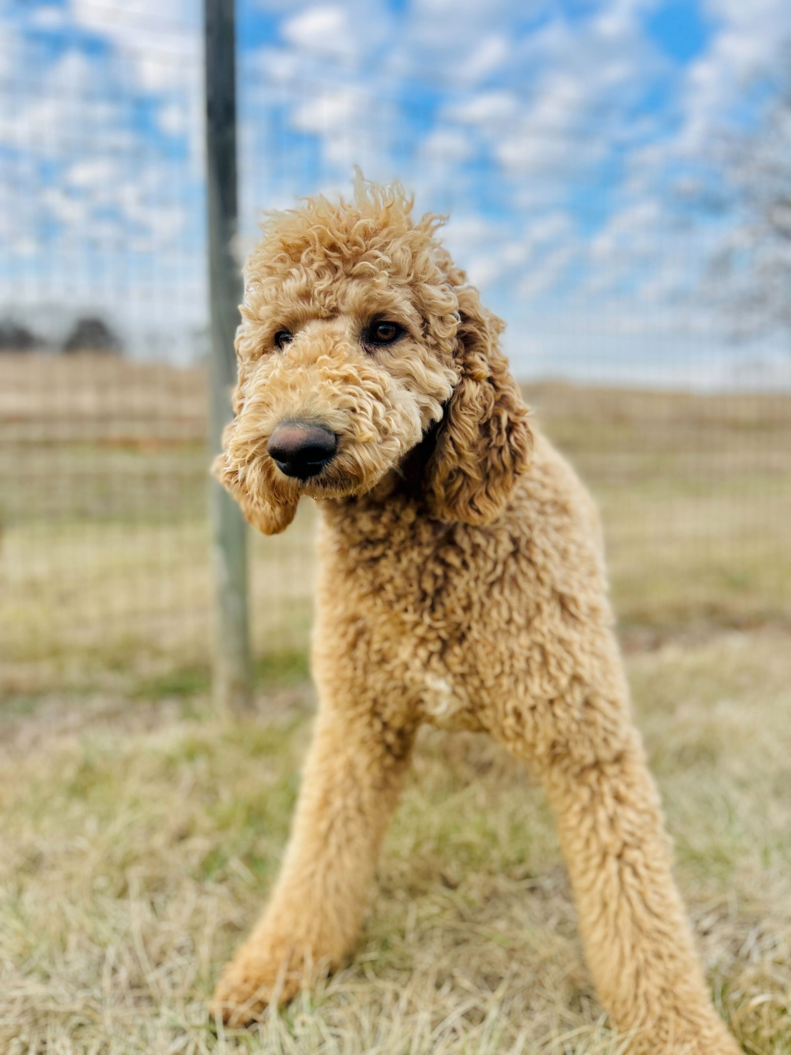 Charlie of Earl Jan 26 Image