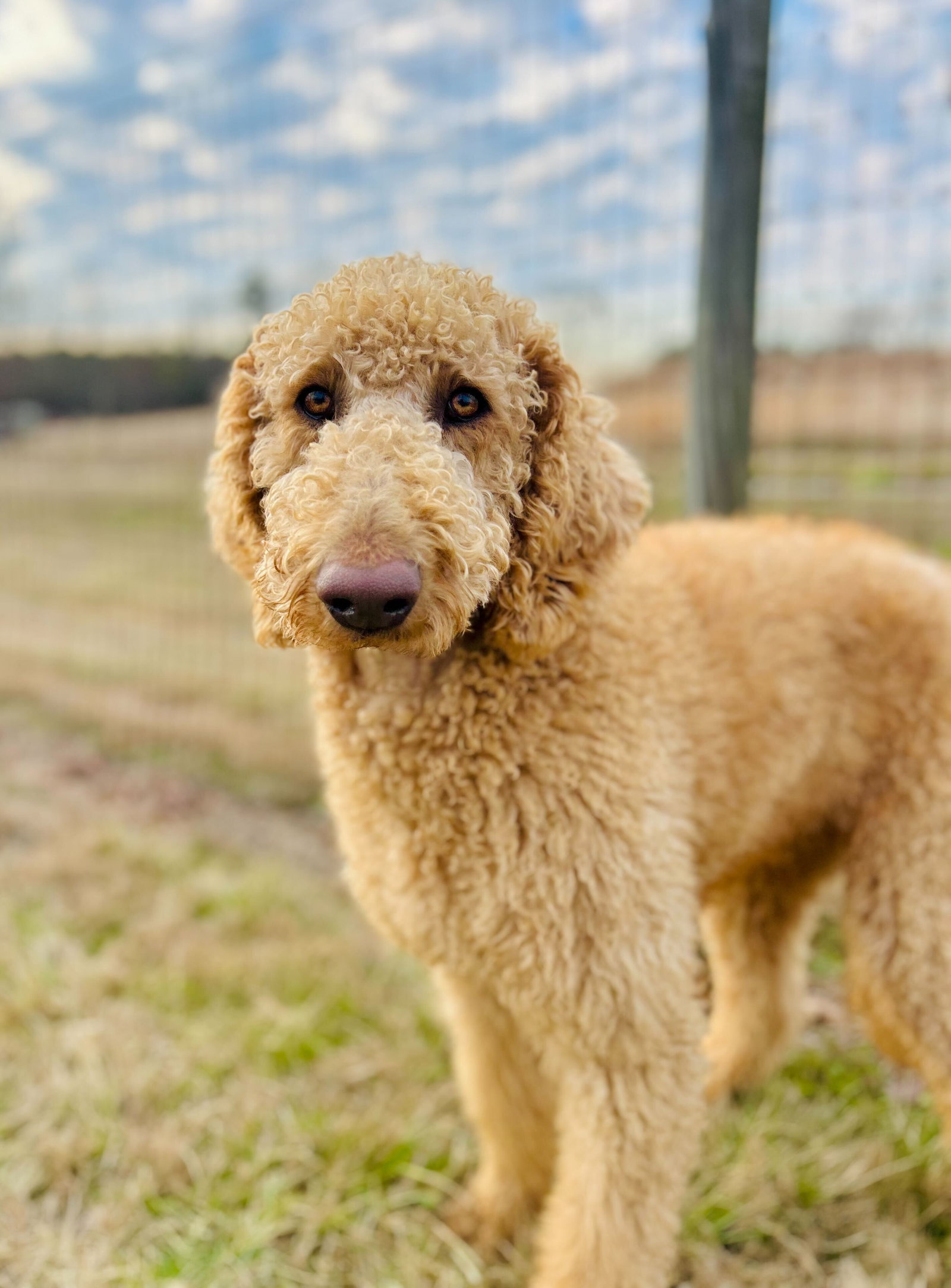 Finley of Earl Jan 26 Image