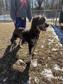 Photo 8 of 8 — Gabriel Jan 26 - In Foster in Reidville, SC