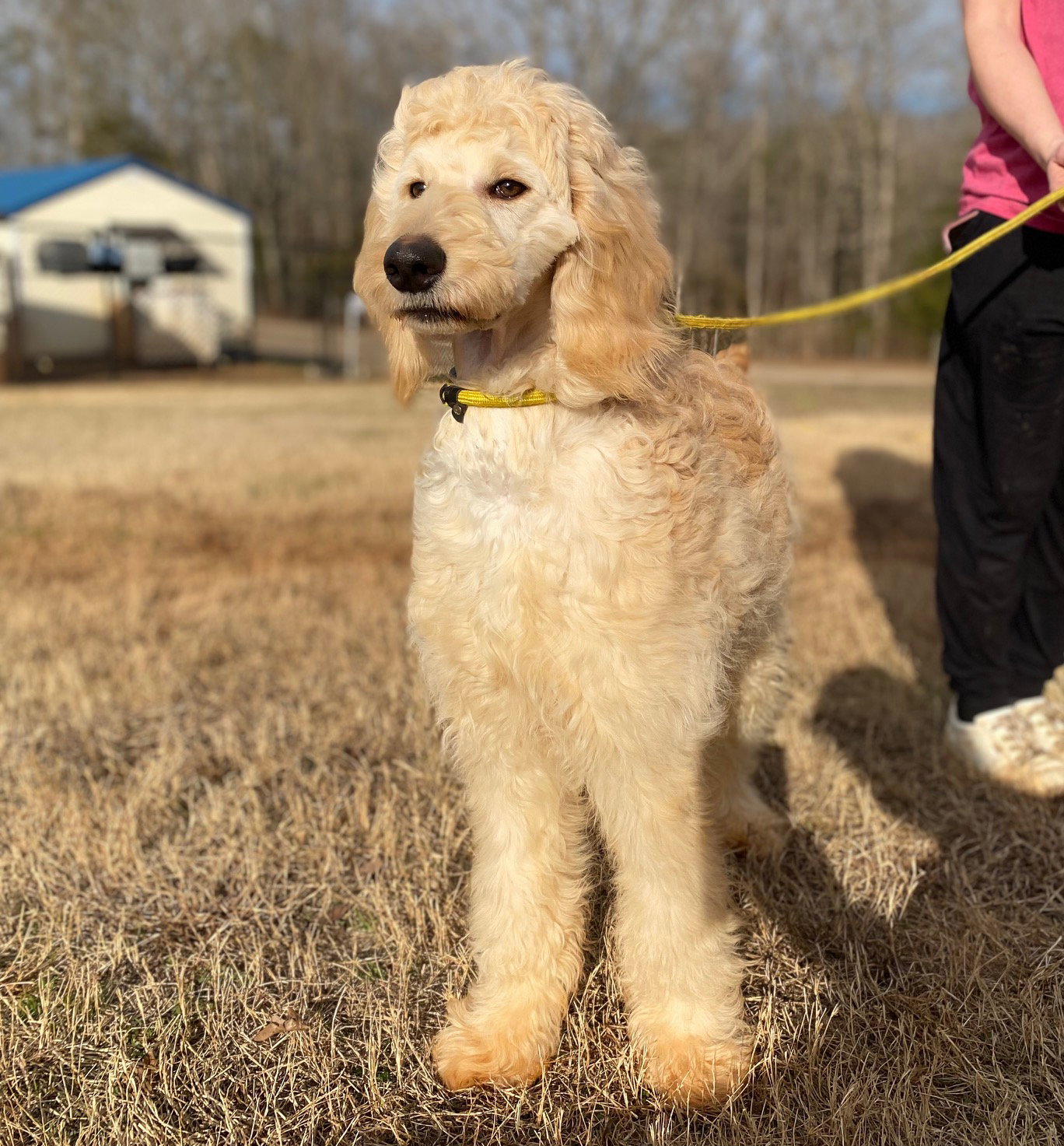 Photo 6 of 9 — Chloe Feb 26