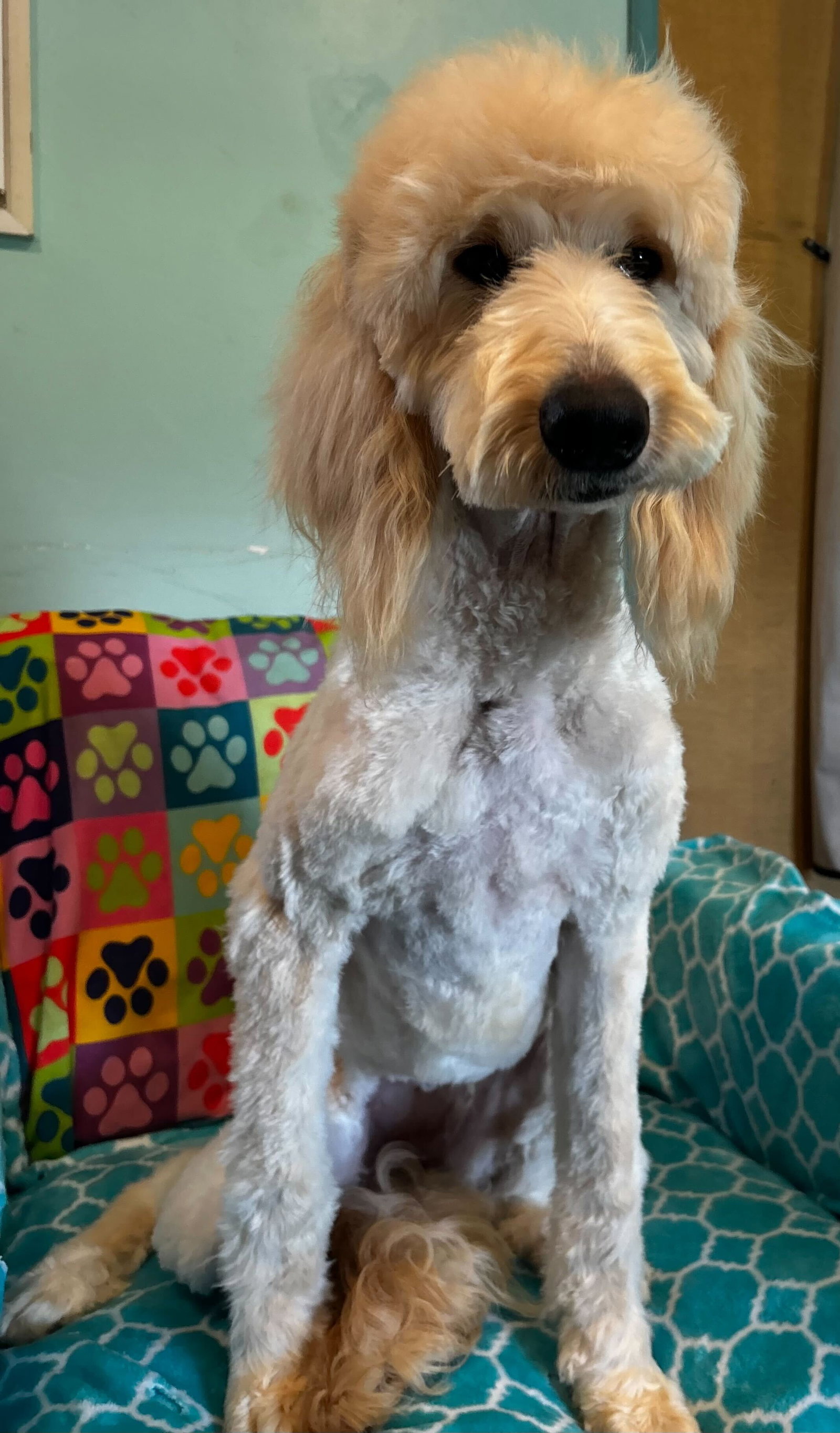 Photo 8 of 9 — Chloe Feb 26