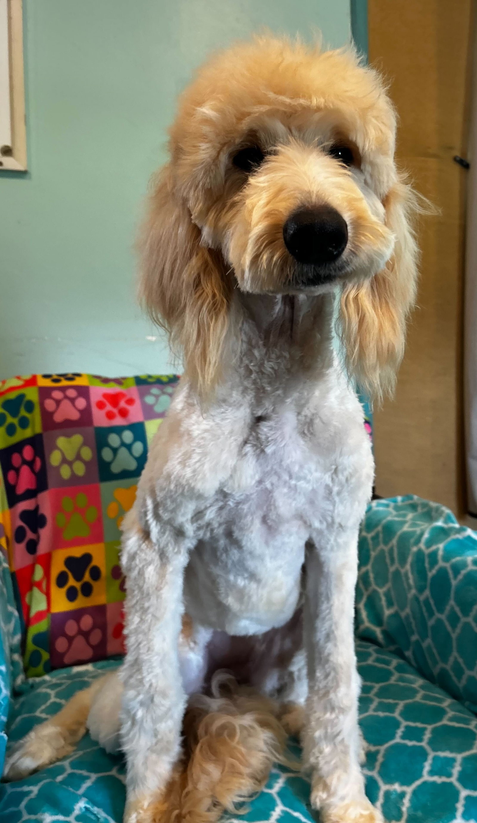Photo 2 of 9 — Chloe Feb 26