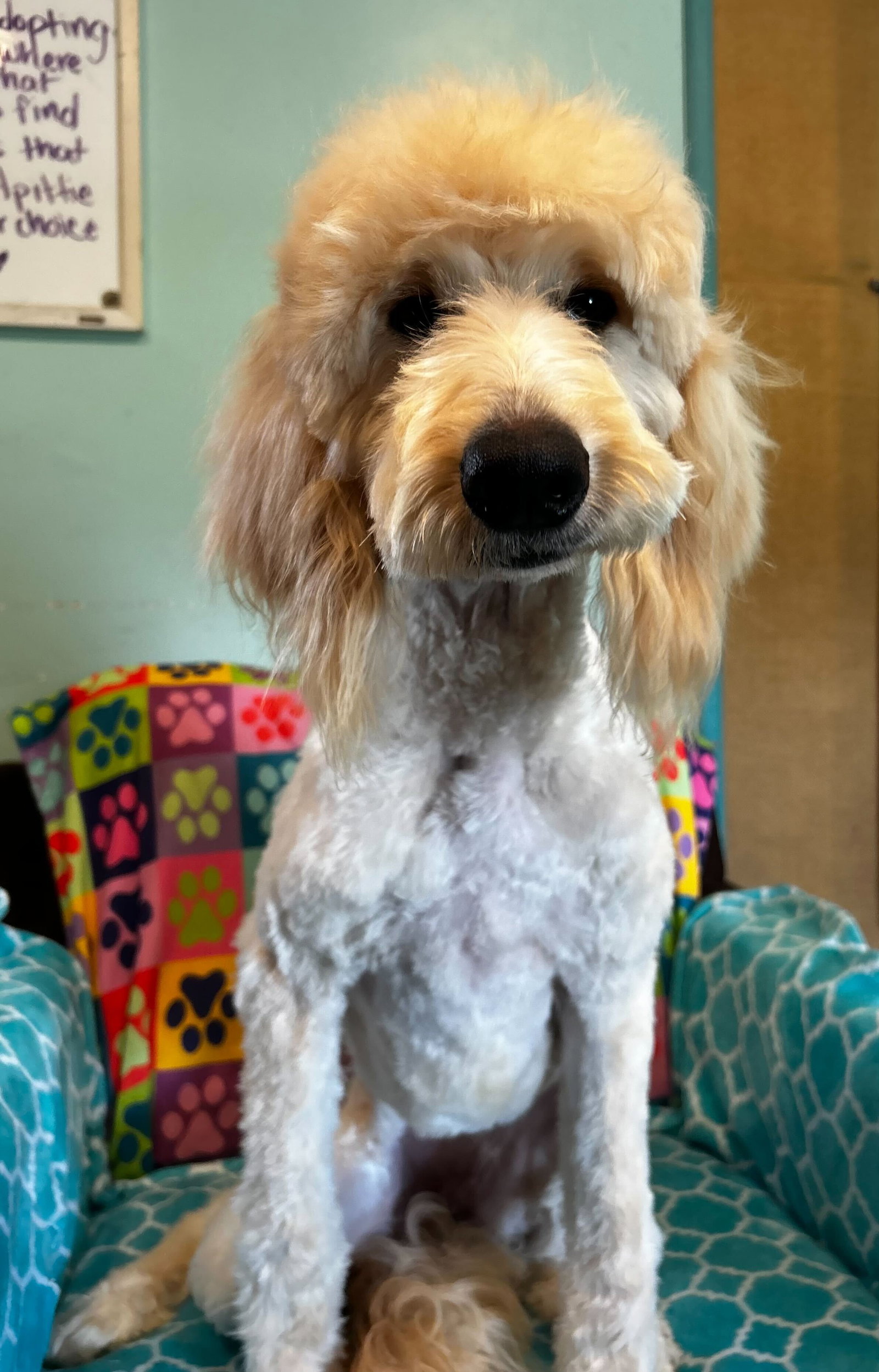 Photo 7 of 9 — Chloe Feb 26