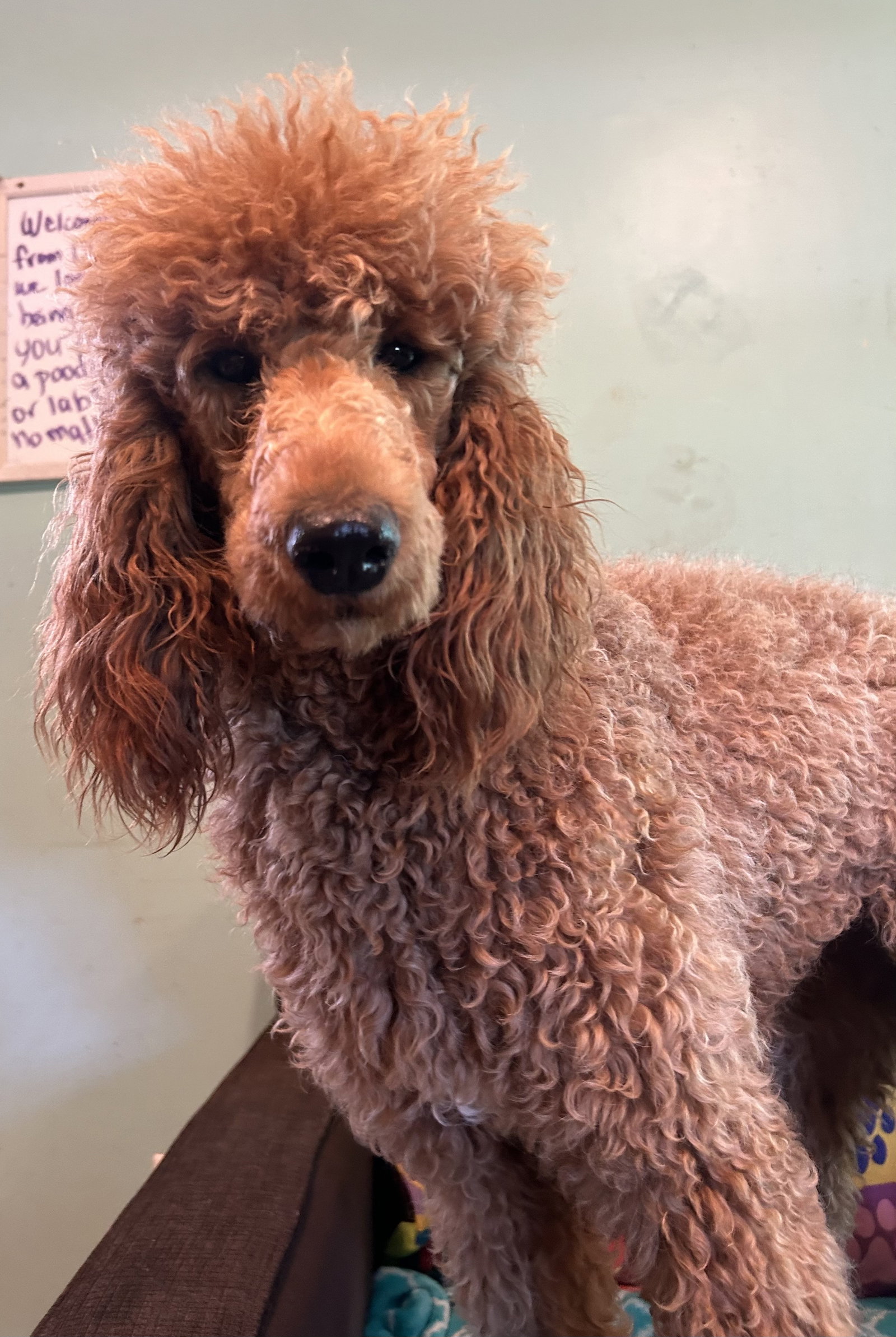 Photo of Frannie Feb 26