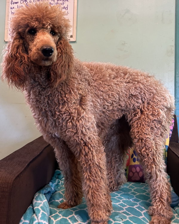 Bella Feb 26