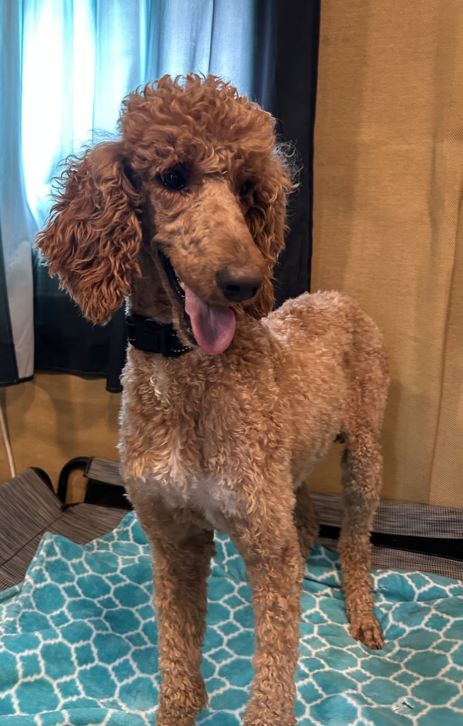 Photo 7 of 7 — Layla Feb 26
