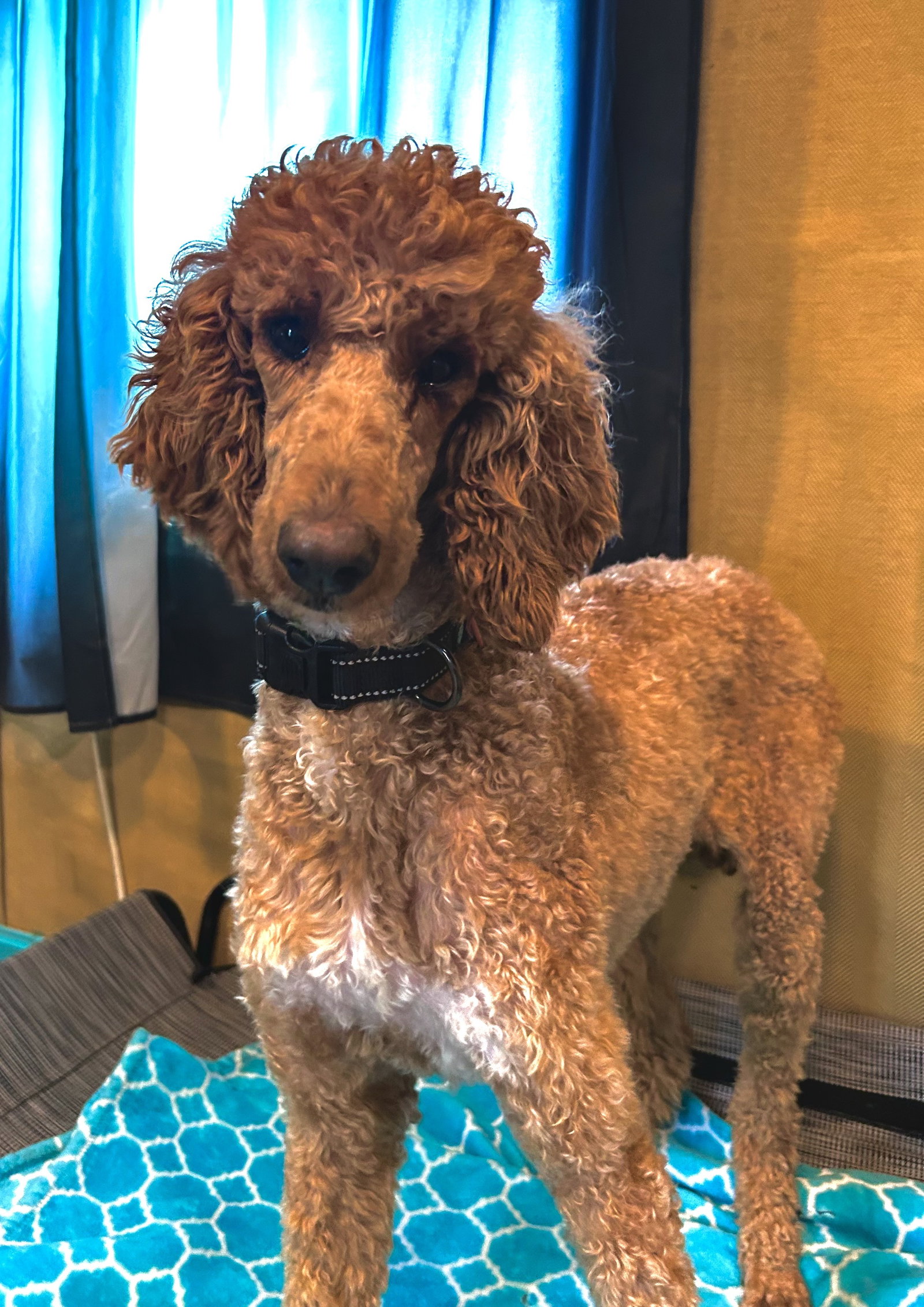 Photo 6 of 7 — Layla Feb 26