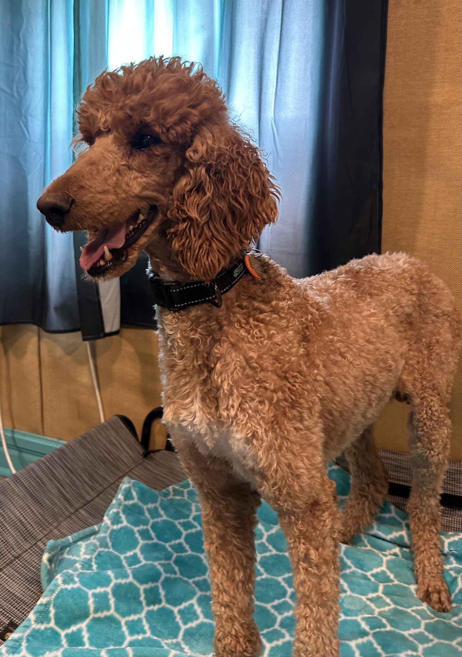 Photo 5 of 7 — Layla Feb 26