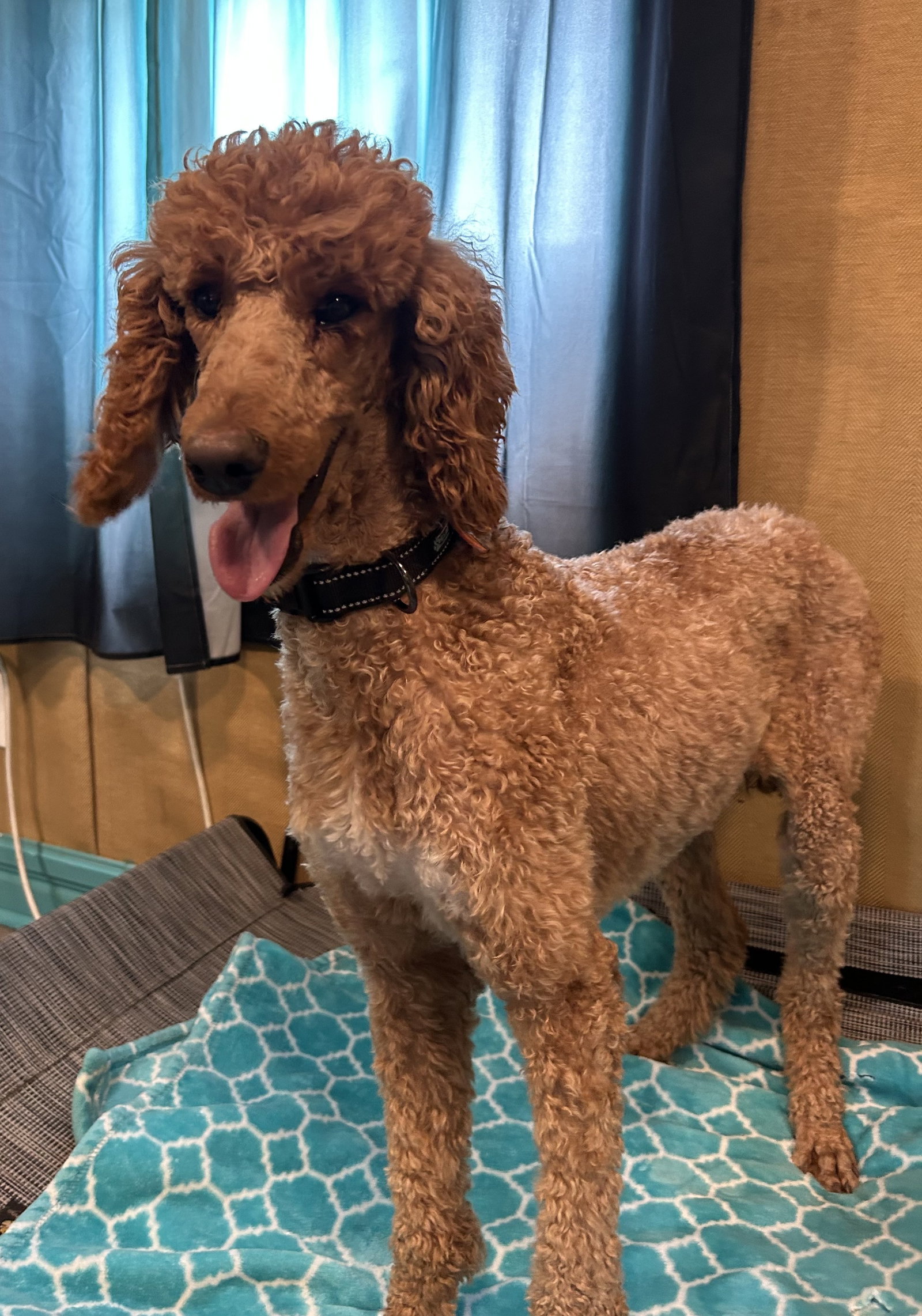 Photo 4 of 7 — Layla Feb 26