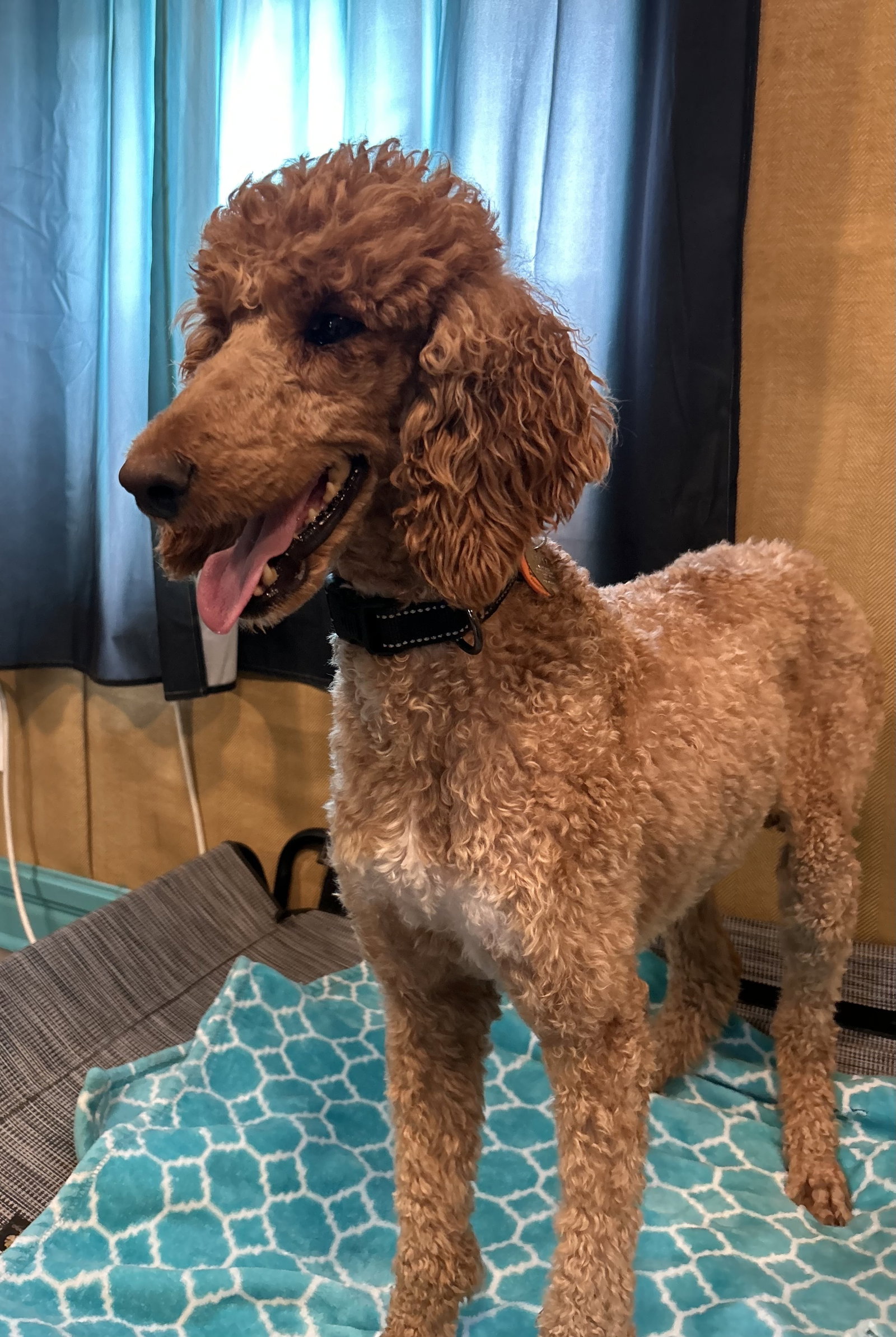 Photo 3 of 7 — Layla Feb 26