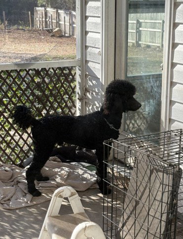 Photo 9 of 9 — Wyatt Feb 26