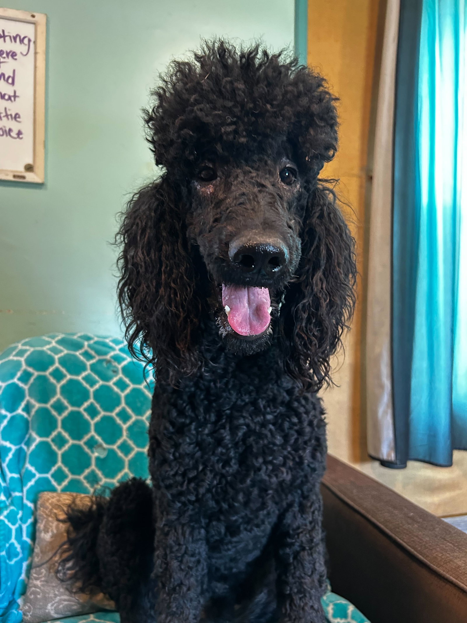 Photo 6 of 8 — Wyatt Feb 26