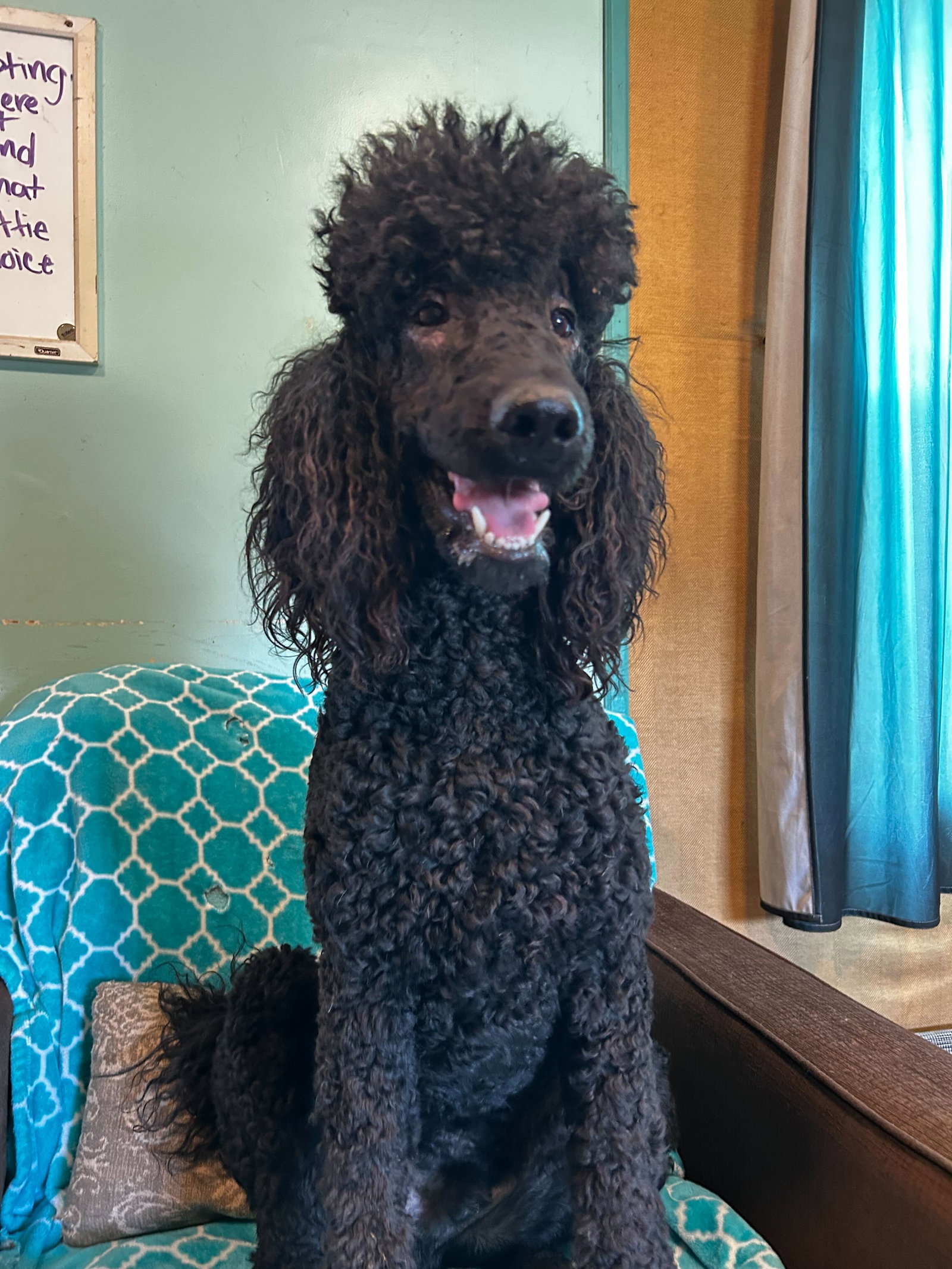 Photo 5 of 8 — Wyatt Feb 26