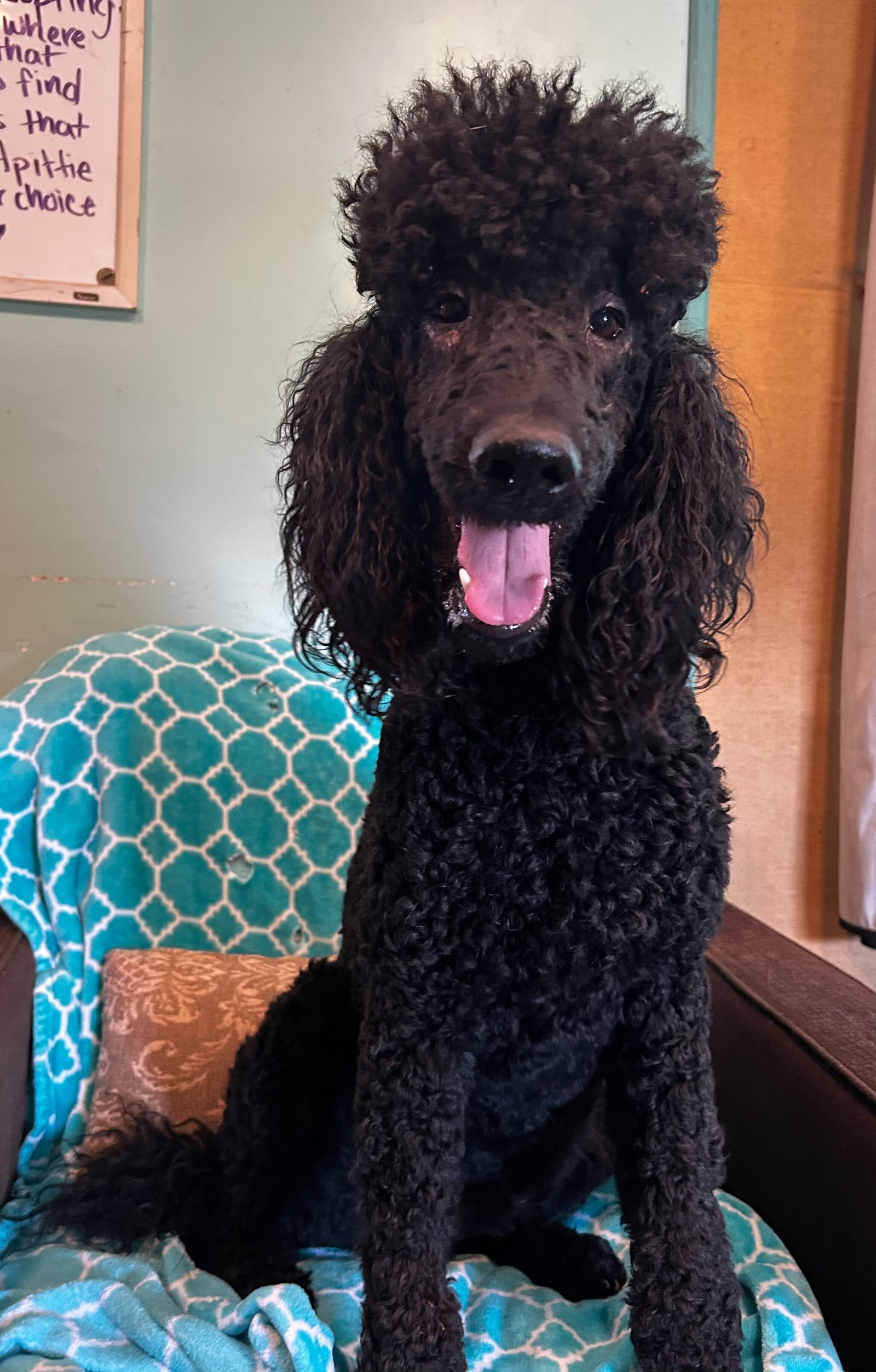 Photo 4 of 8 — Wyatt Feb 26