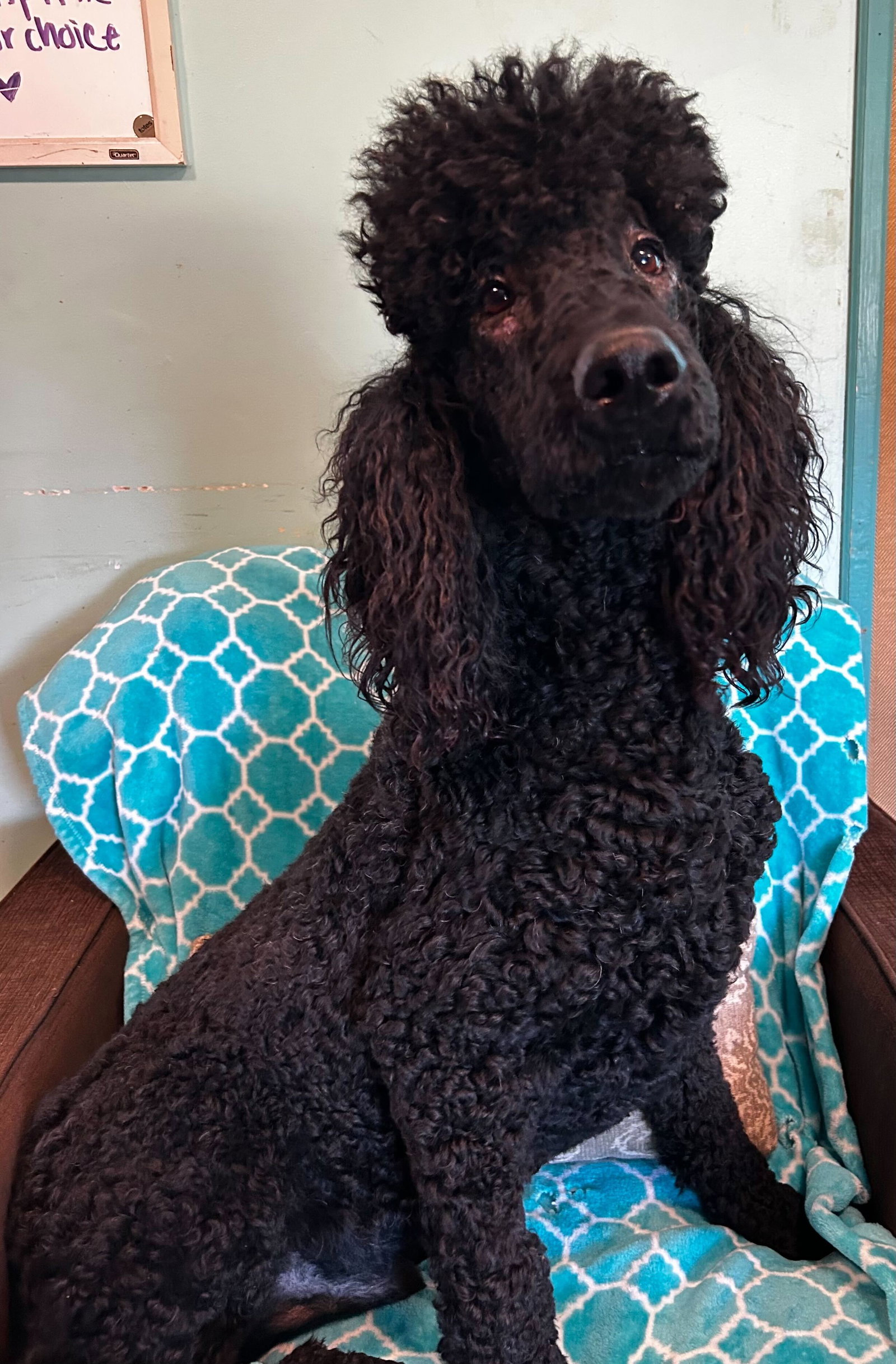 Photo 2 of 8 — Wyatt Feb 26