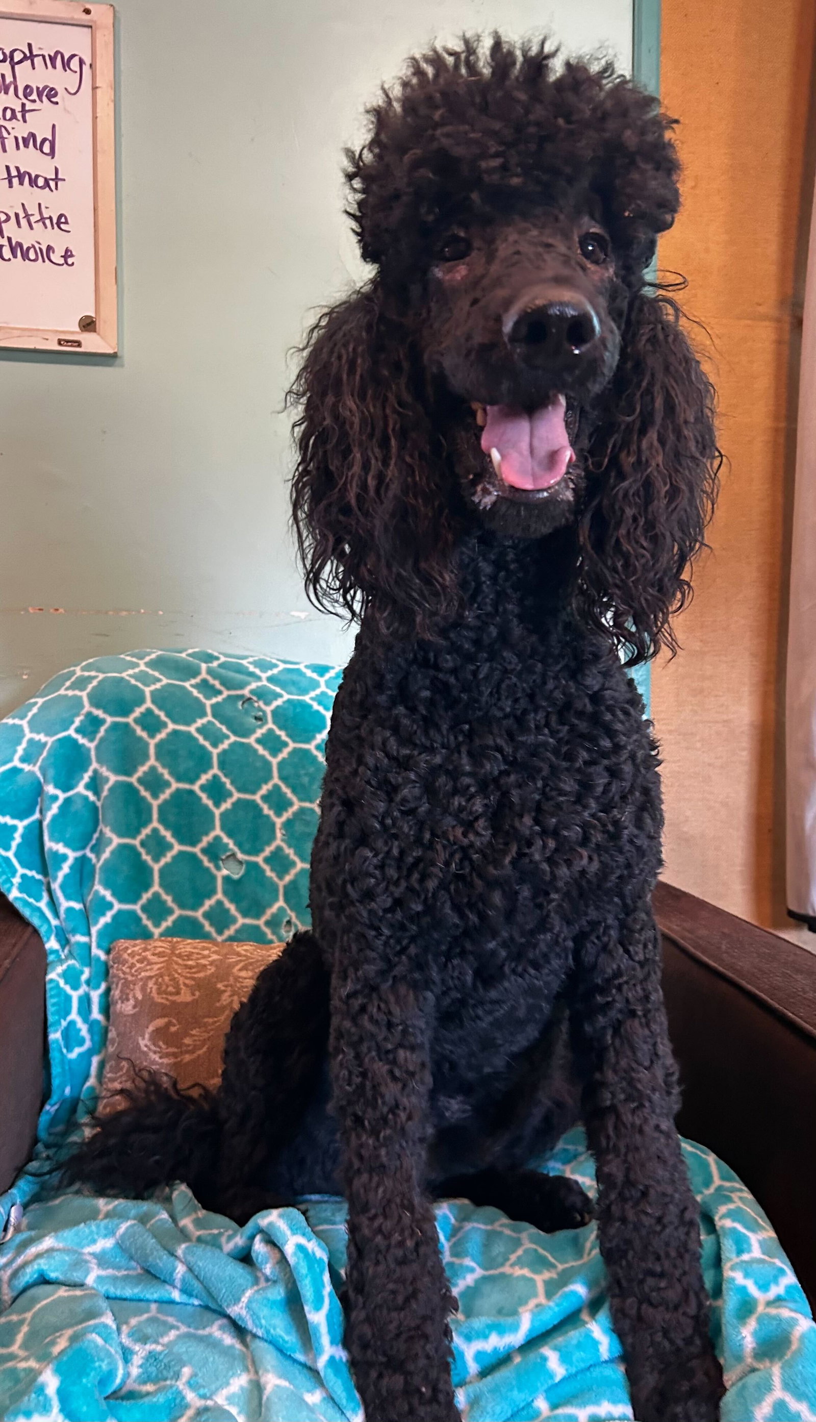 Photo 3 of 8 — Wyatt Feb 26