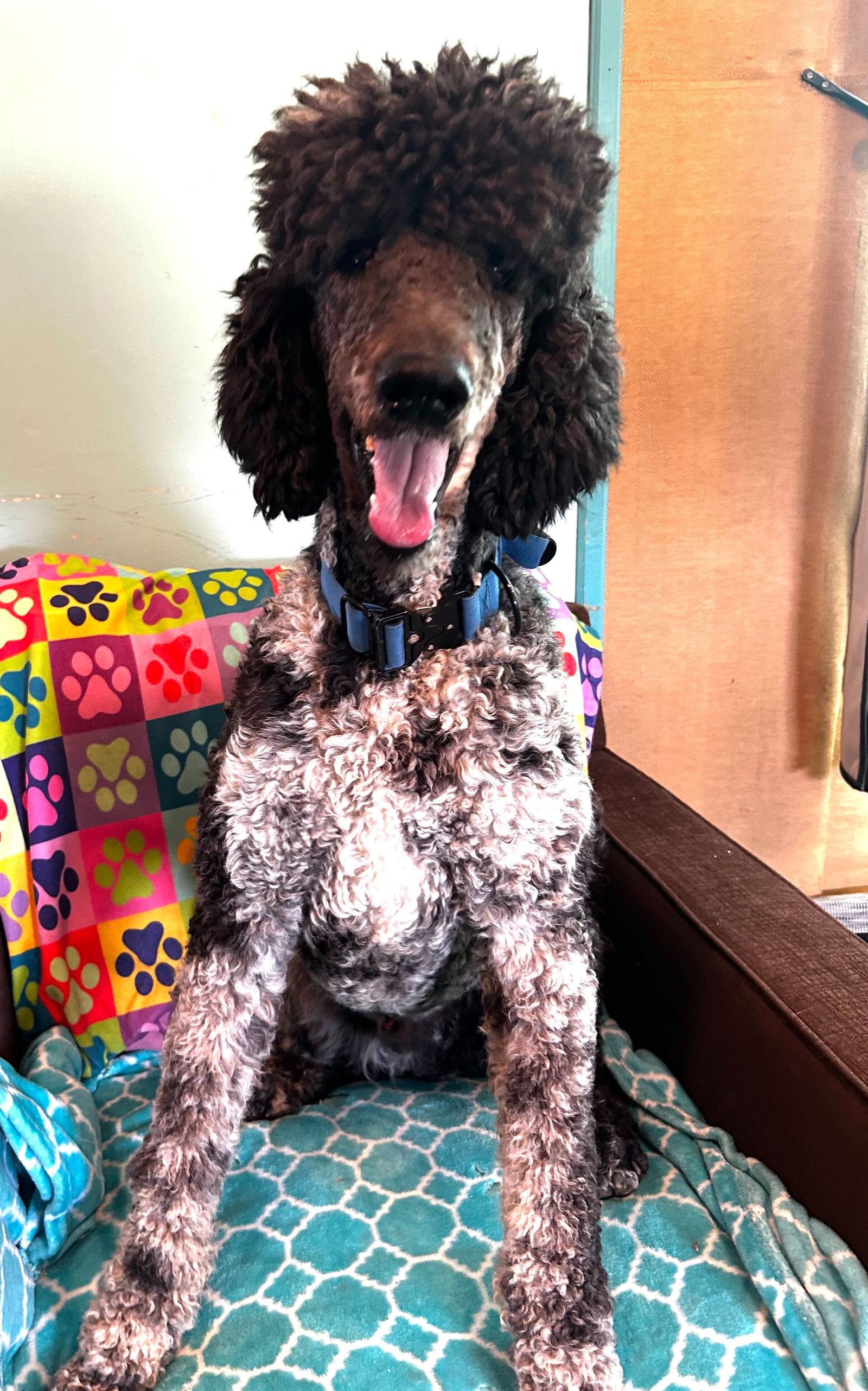 Photo 12 of 13 — Magnus Feb 26