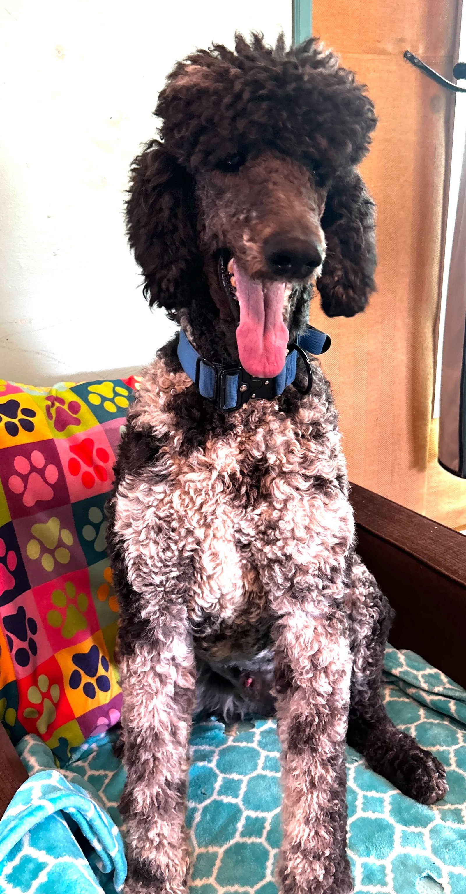 Photo 9 of 13 — Magnus Feb 26