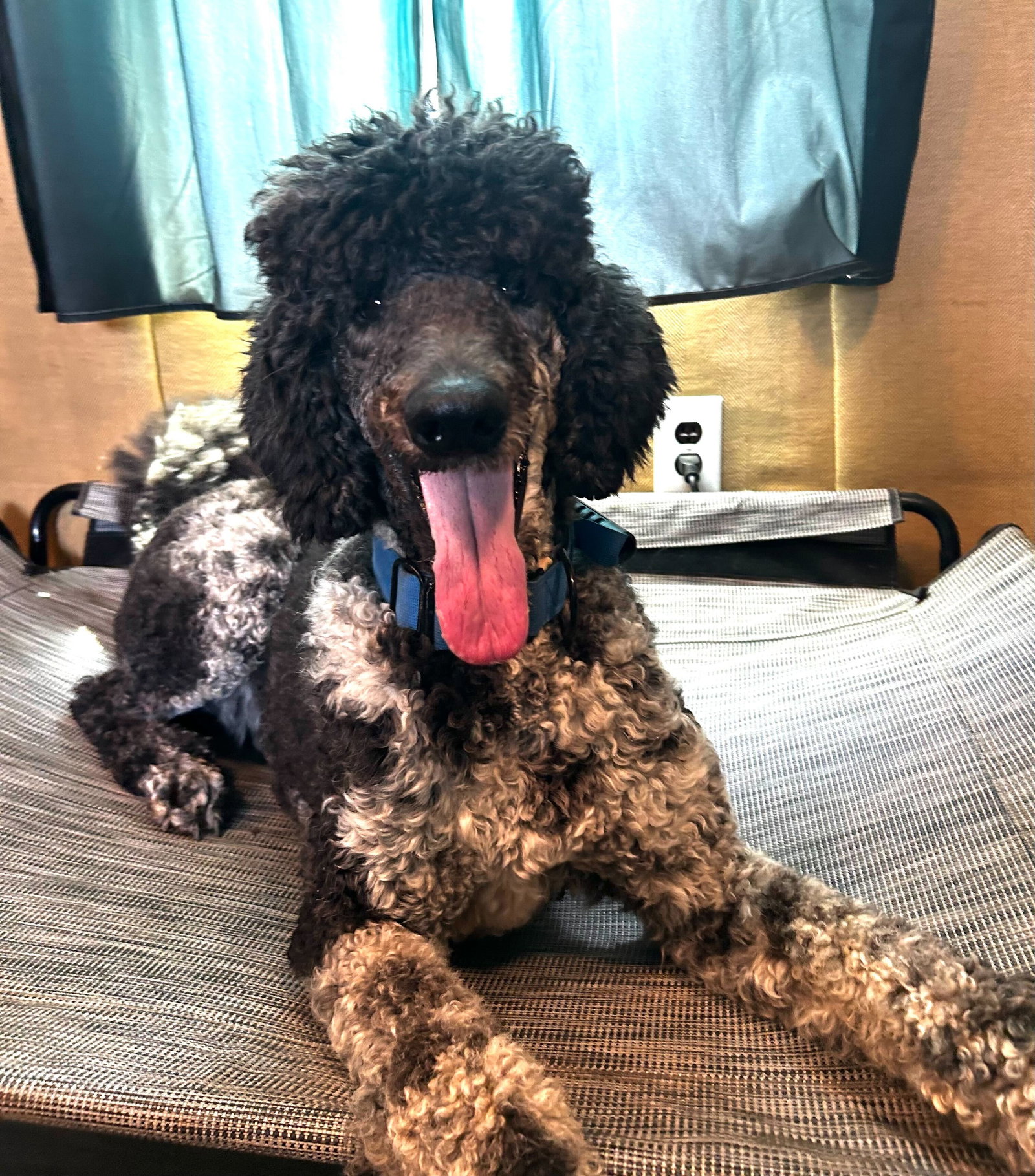 Photo 3 of 13 — Magnus Feb 26