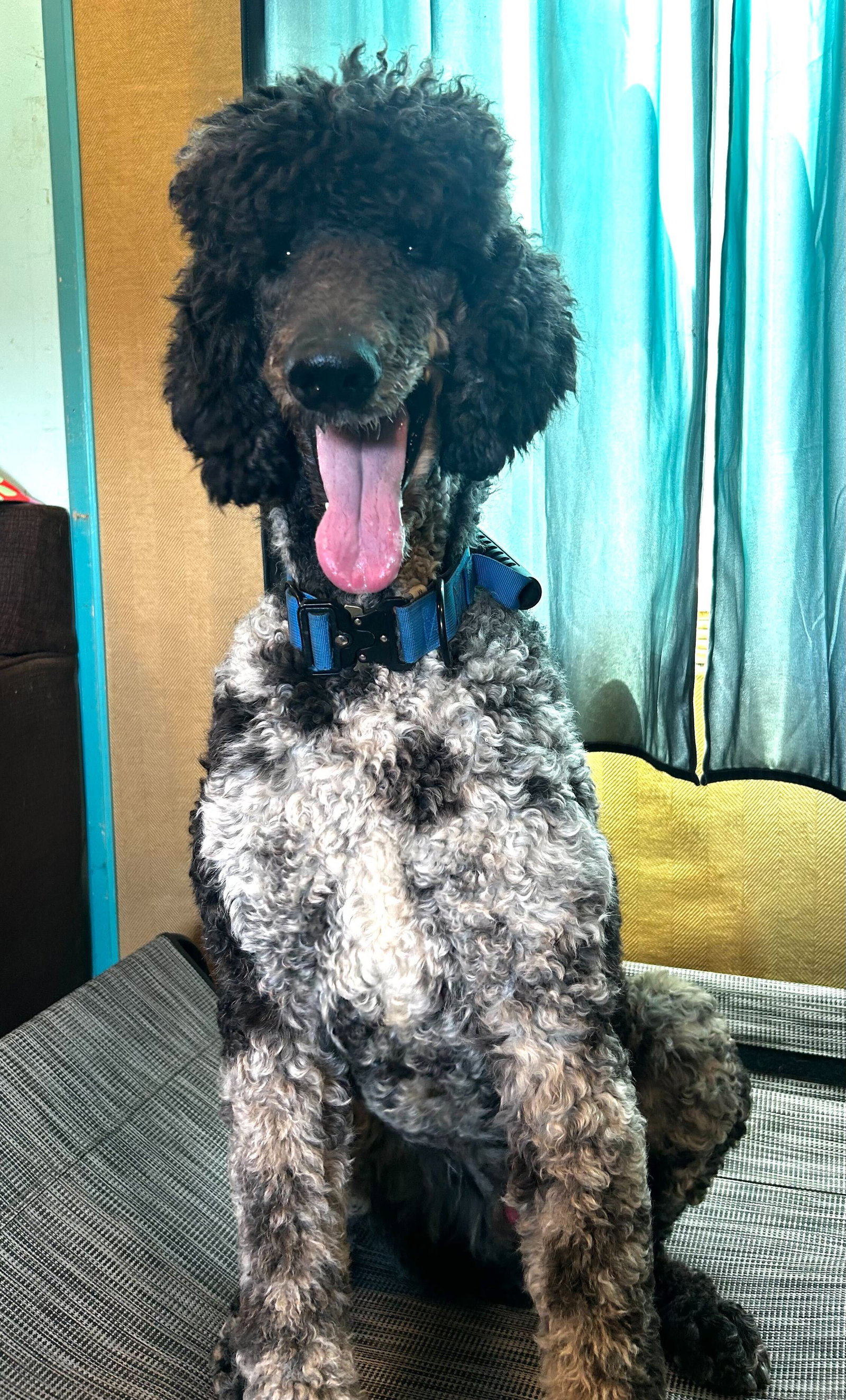 Photo 6 of 13 — Magnus Feb 26