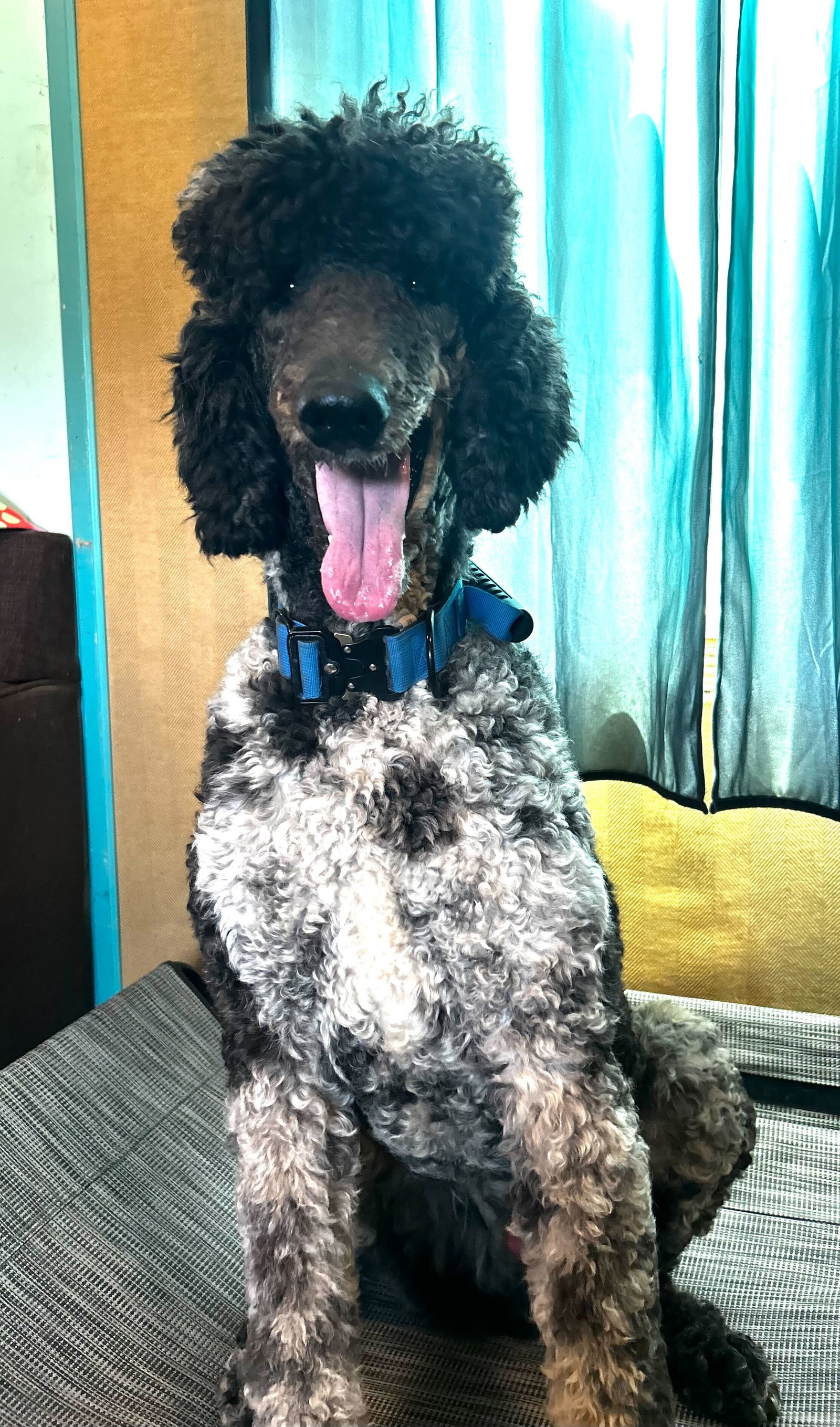 Photo 7 of 13 — Magnus Feb 26