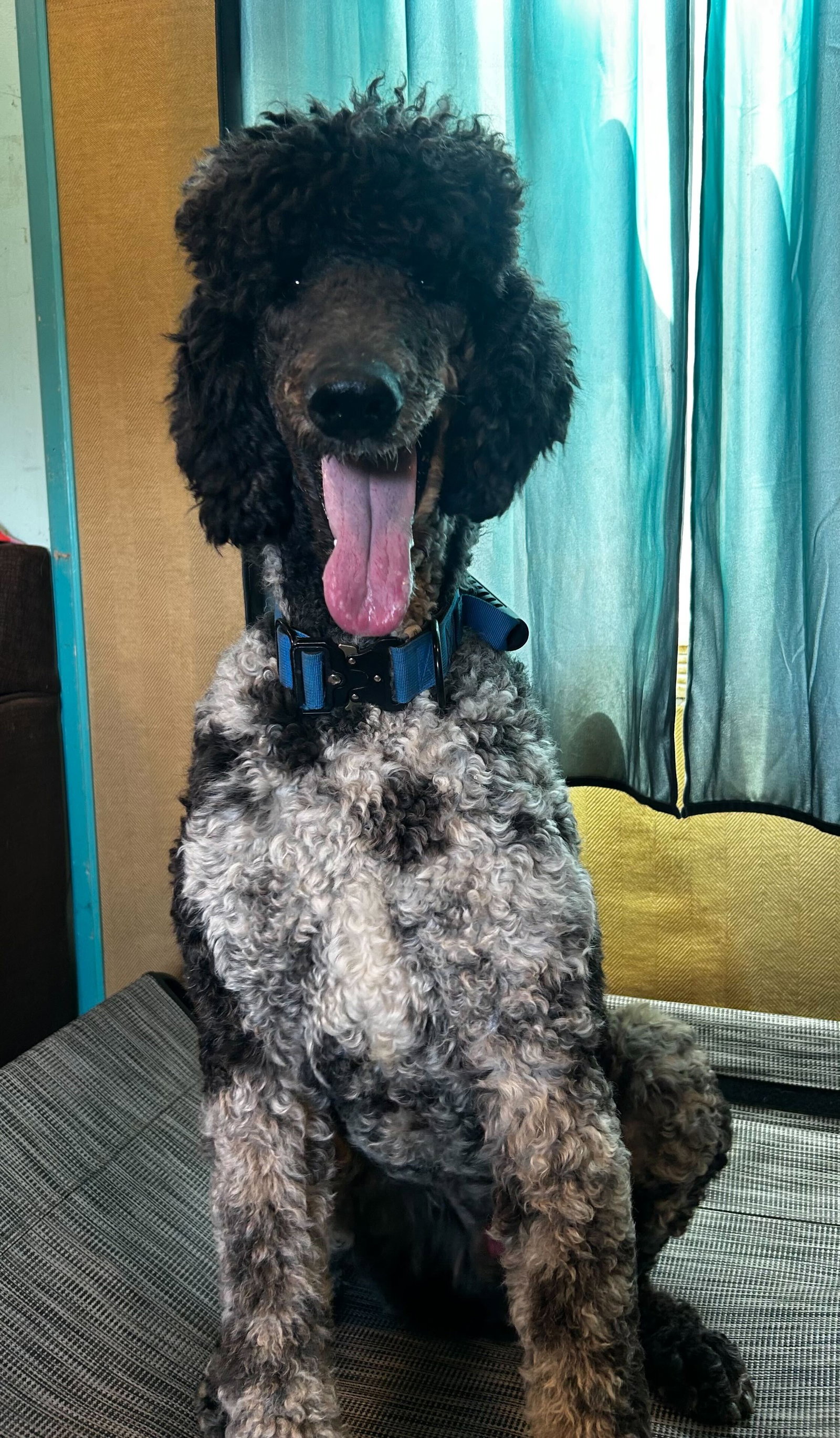 Photo 4 of 13 — Magnus Feb 26