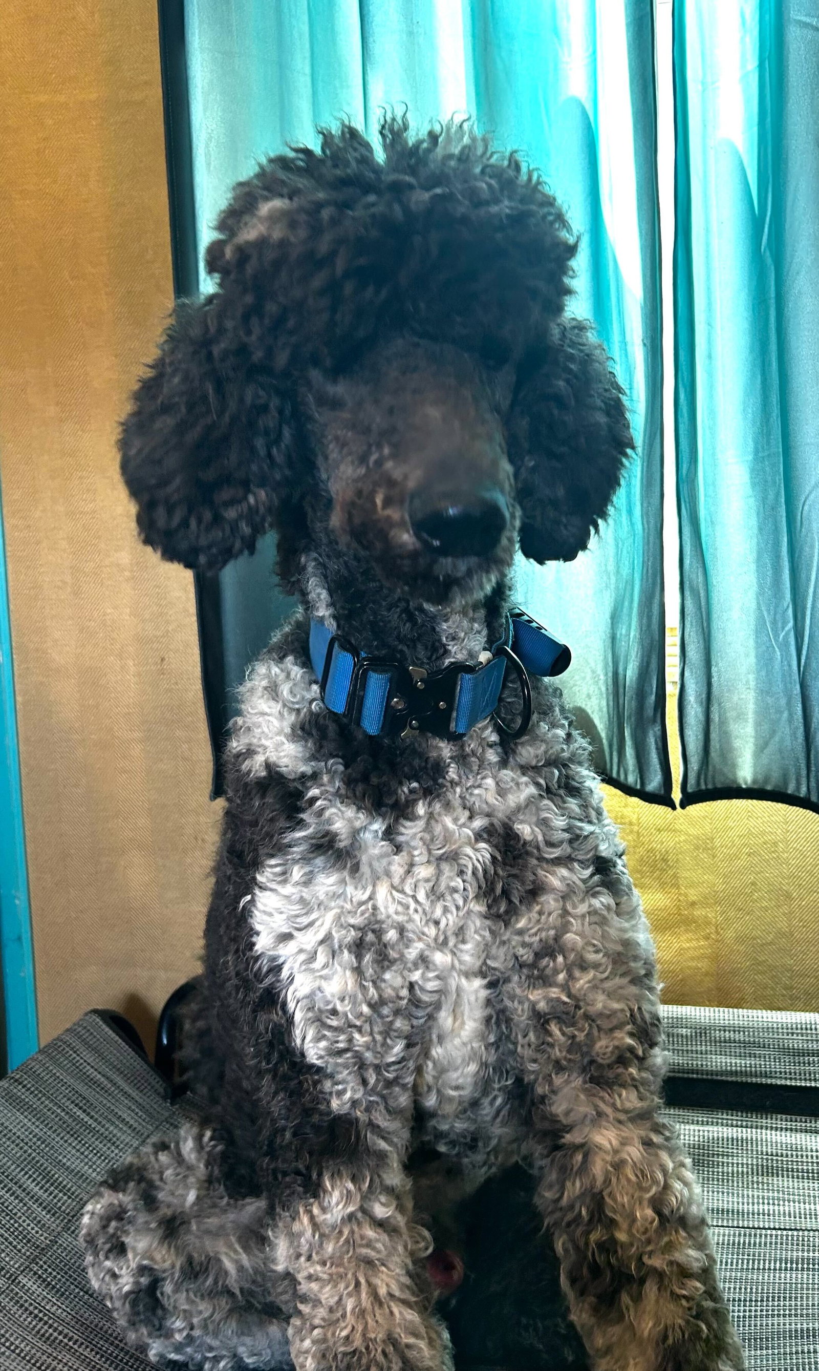 Photo 5 of 13 — Magnus Feb 26