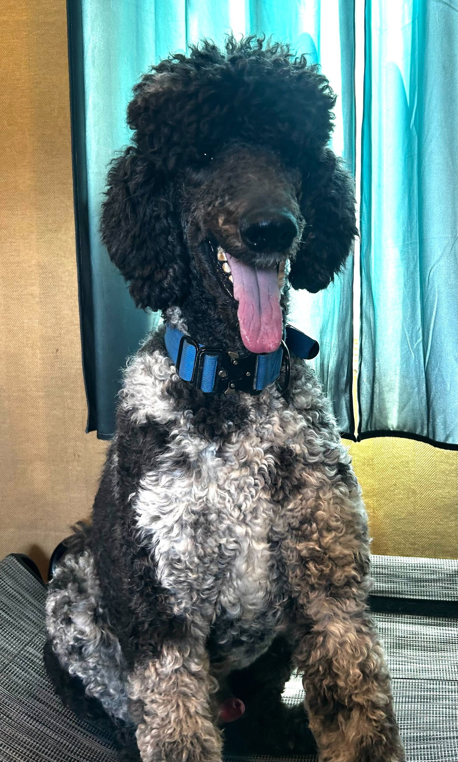 Photo 2 of 13 — Magnus Feb 26