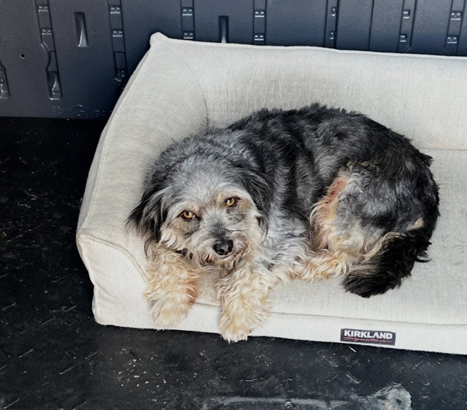 Photo 5 of 5 — Casper Mar 26