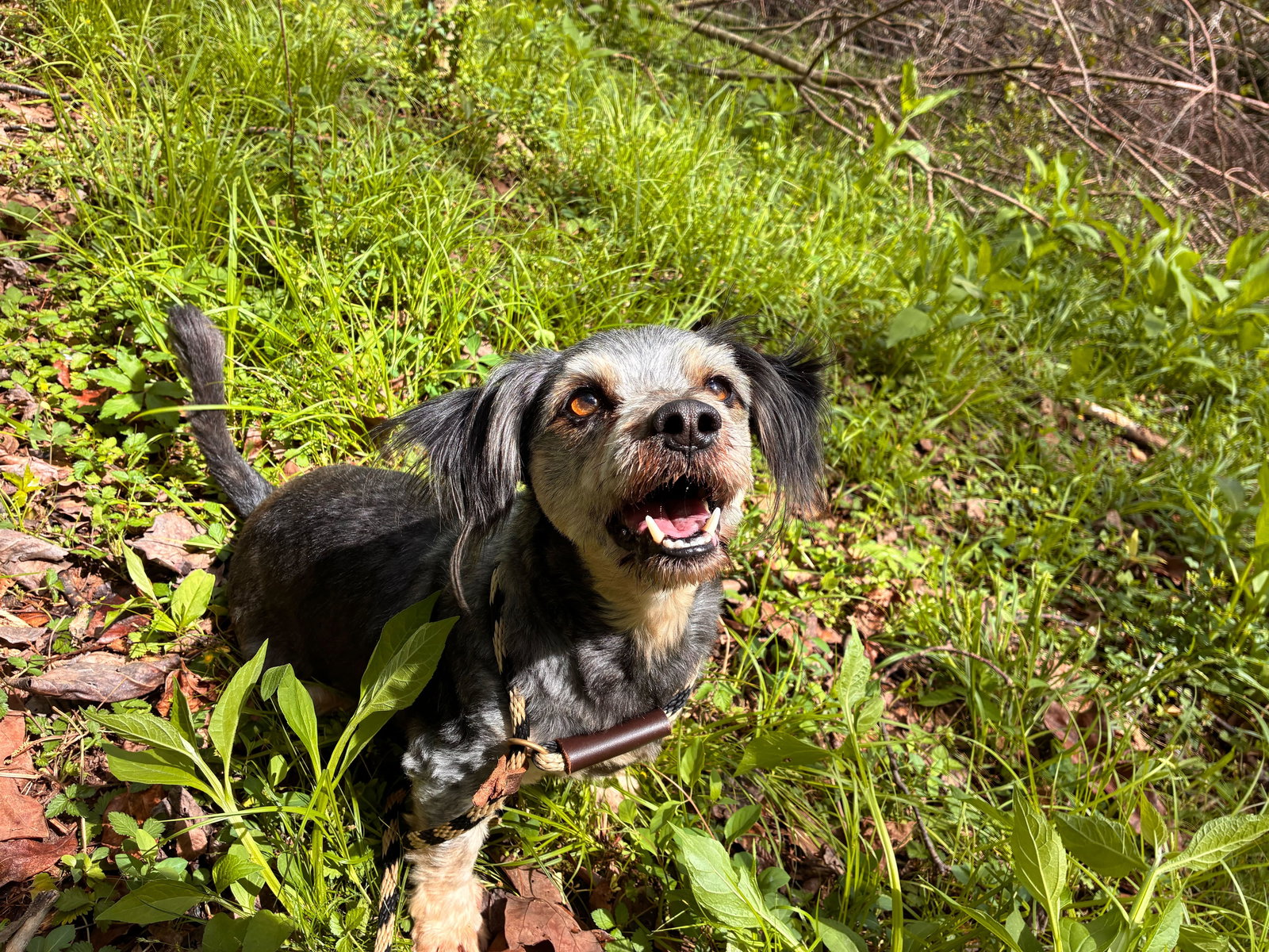 Photo 3 of 5 — Casper Mar 26