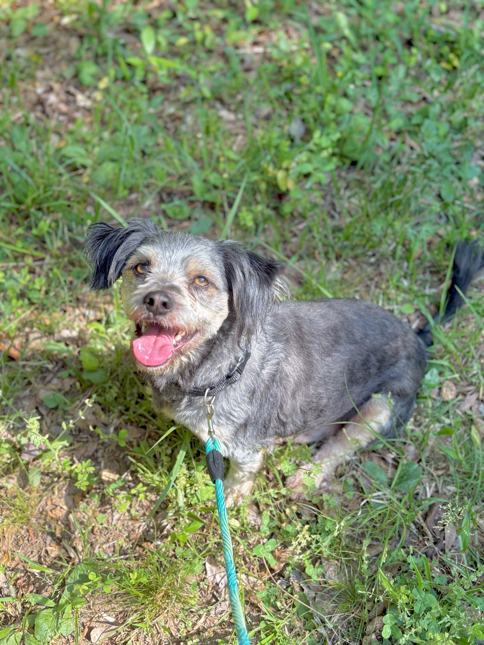 Photo 4 of 5 — Casper Mar 26