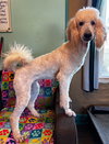 Cinnamon Mar 26 - Photo 1