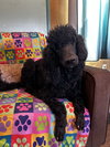 Pepper Mar 26 - Photo 7