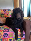 Pepper Mar 26 - Photo 4