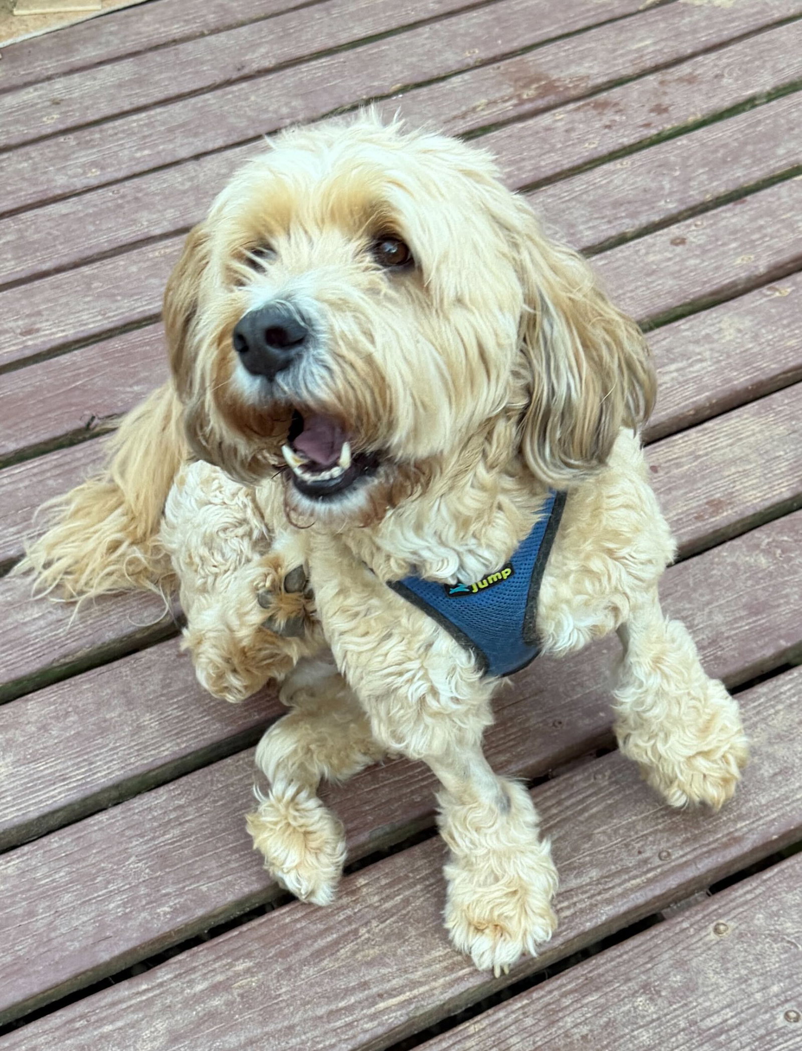 Photo 2 of 3 — Lucy Mar 26