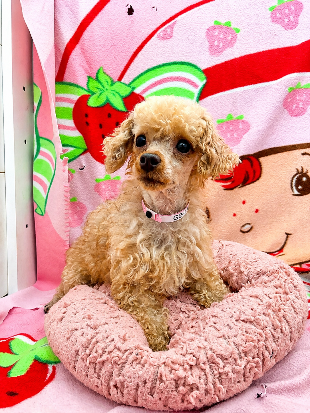 Photo of Lyla Mar 26