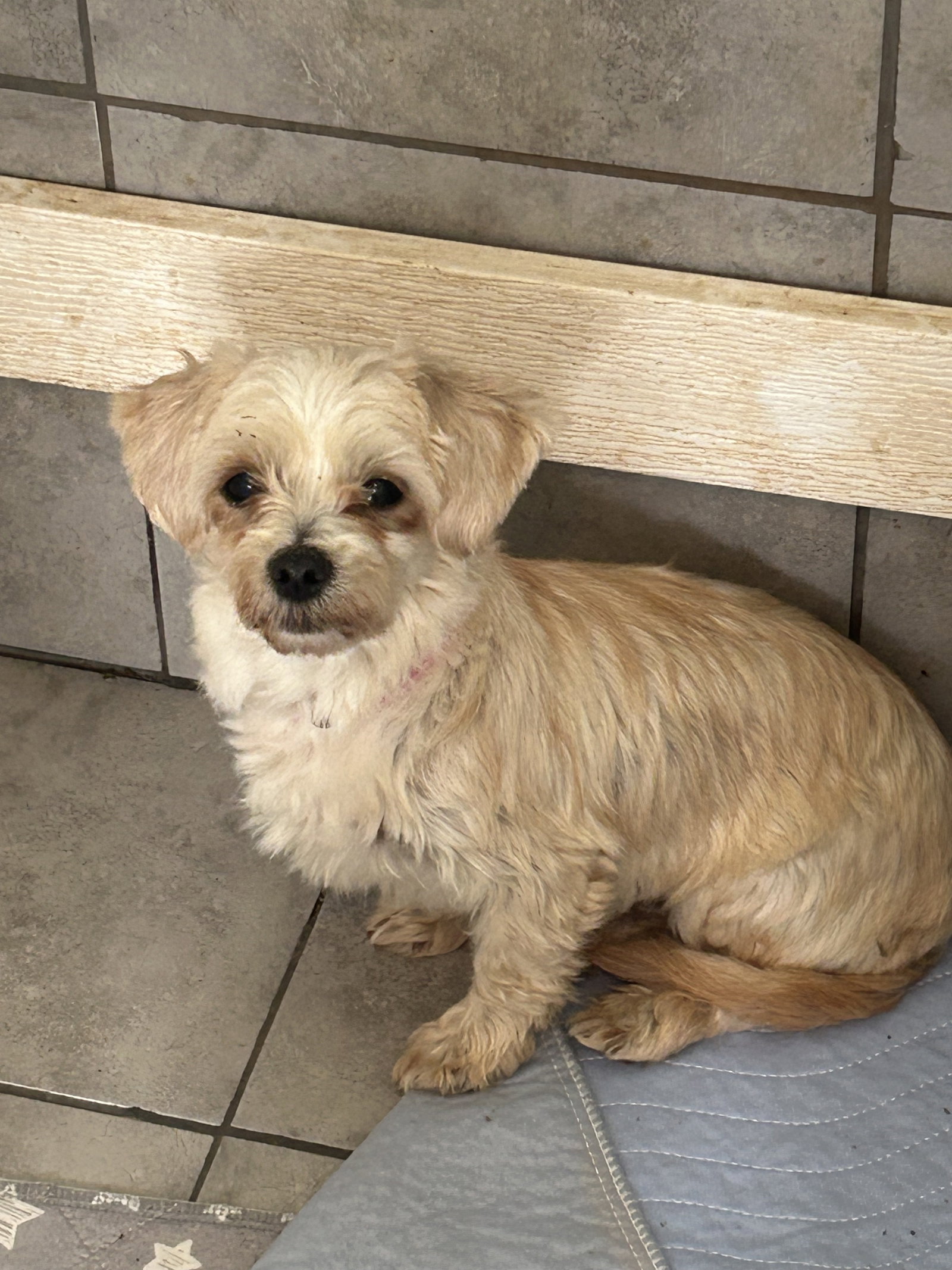 Photo 5 of 5 — Lola Lee Mar 26