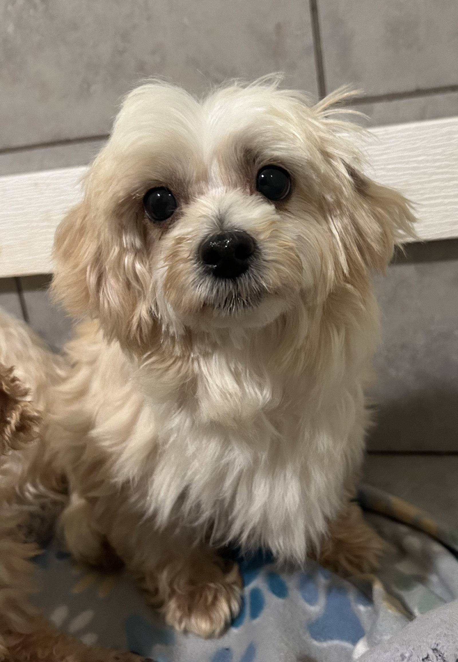 Photo of Lola Lee Mar 26