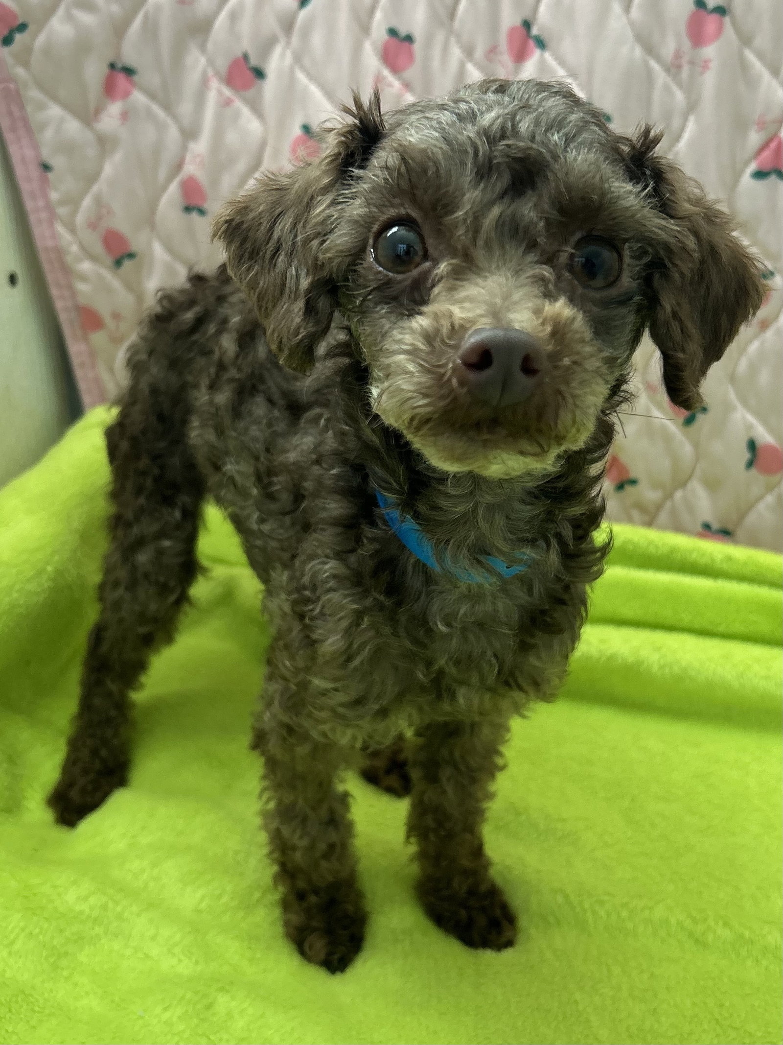 Ralphie Mar 26