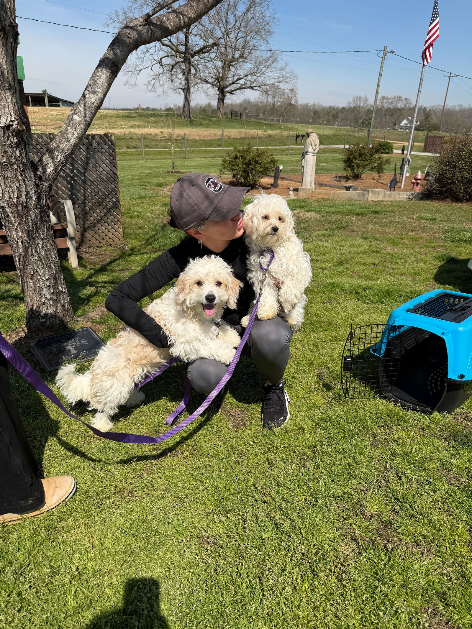 Photo 7 of 7 — Jack Mar 26