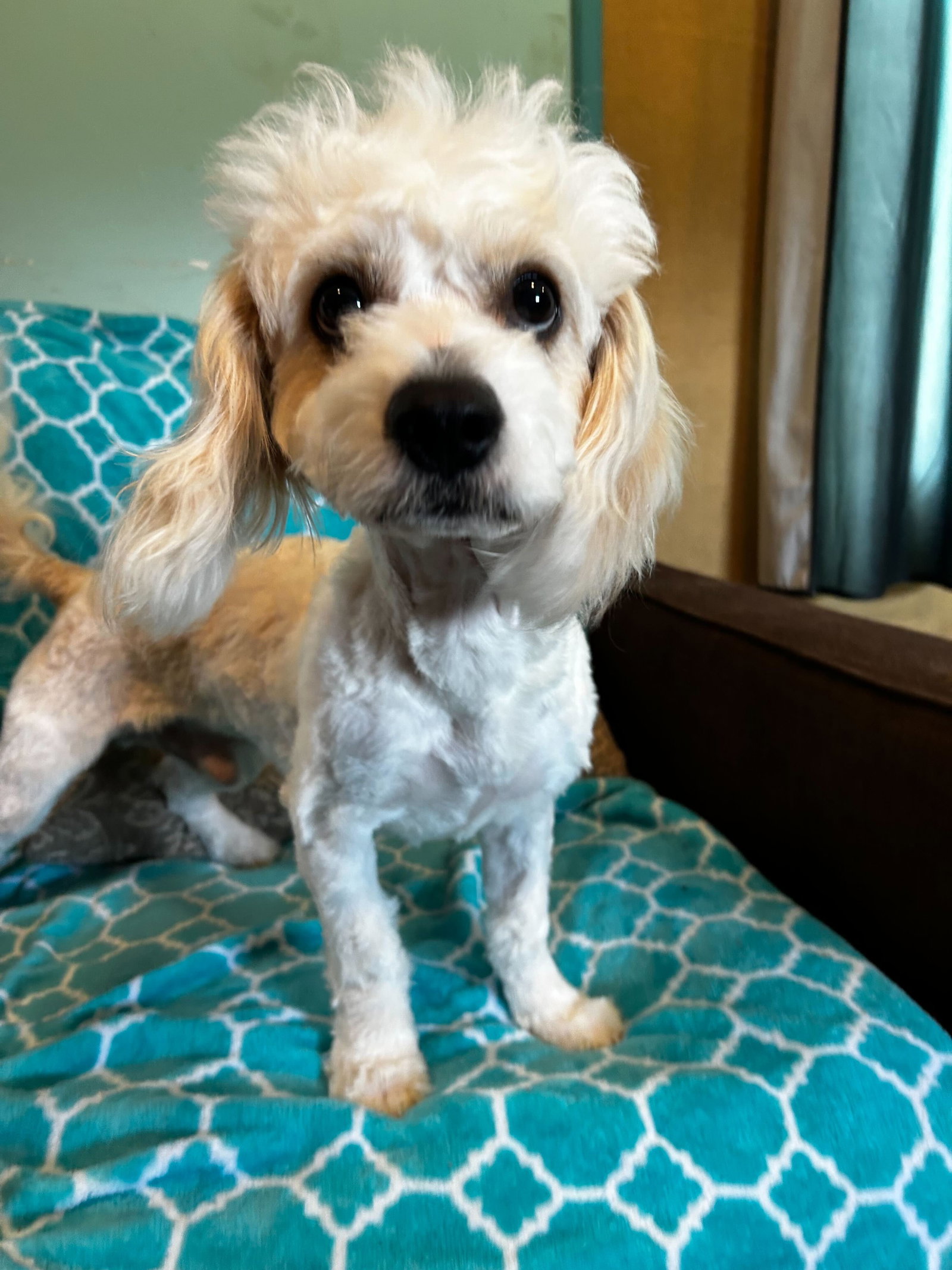 Photo of Jack Mar 26