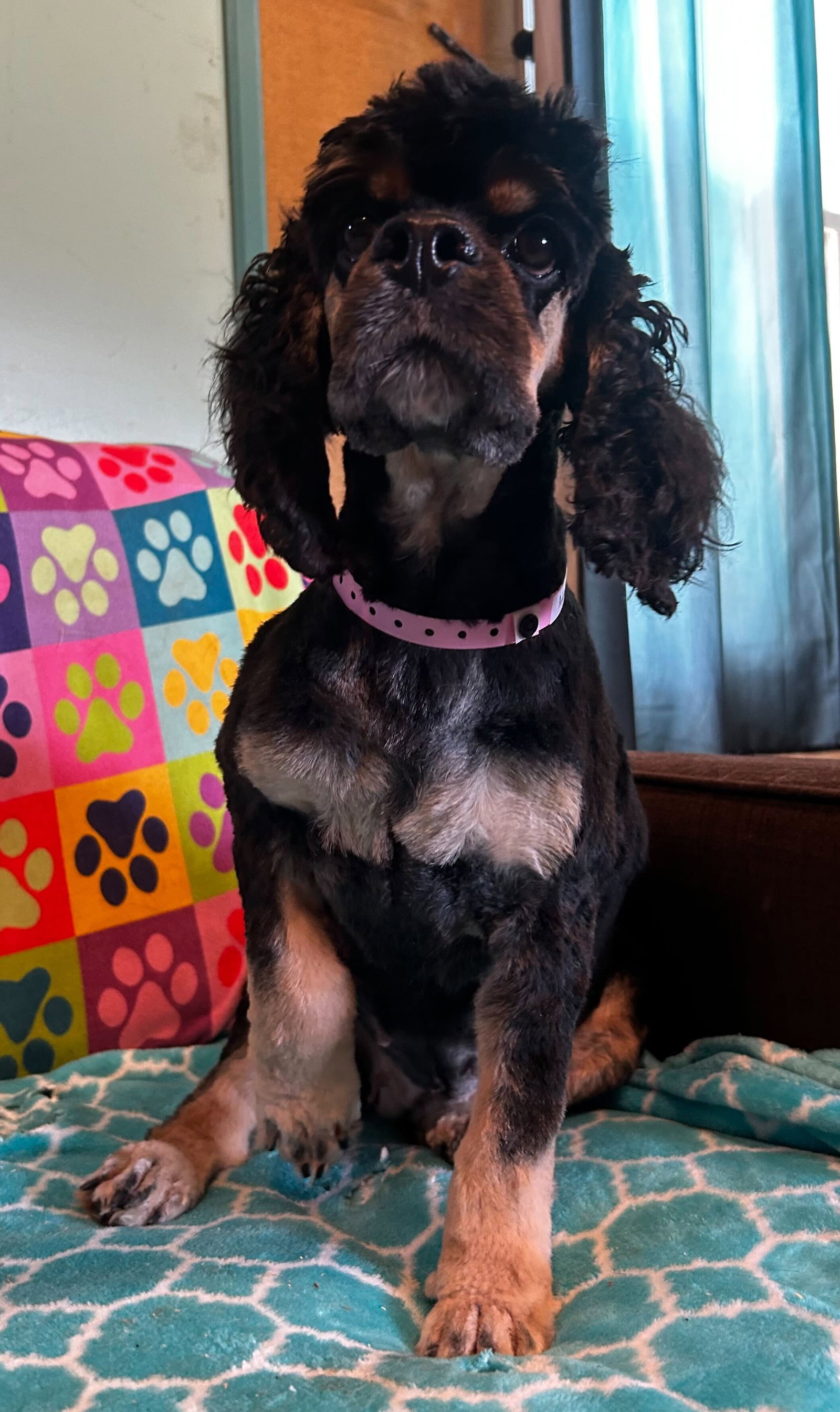 Photo 3 of 6 — Mallory Mar 26
