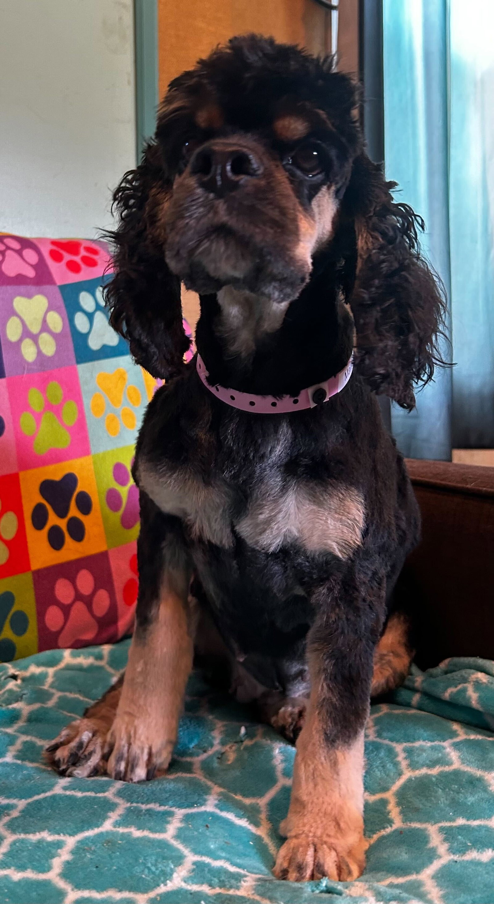Photo 6 of 6 — Mallory Mar 26