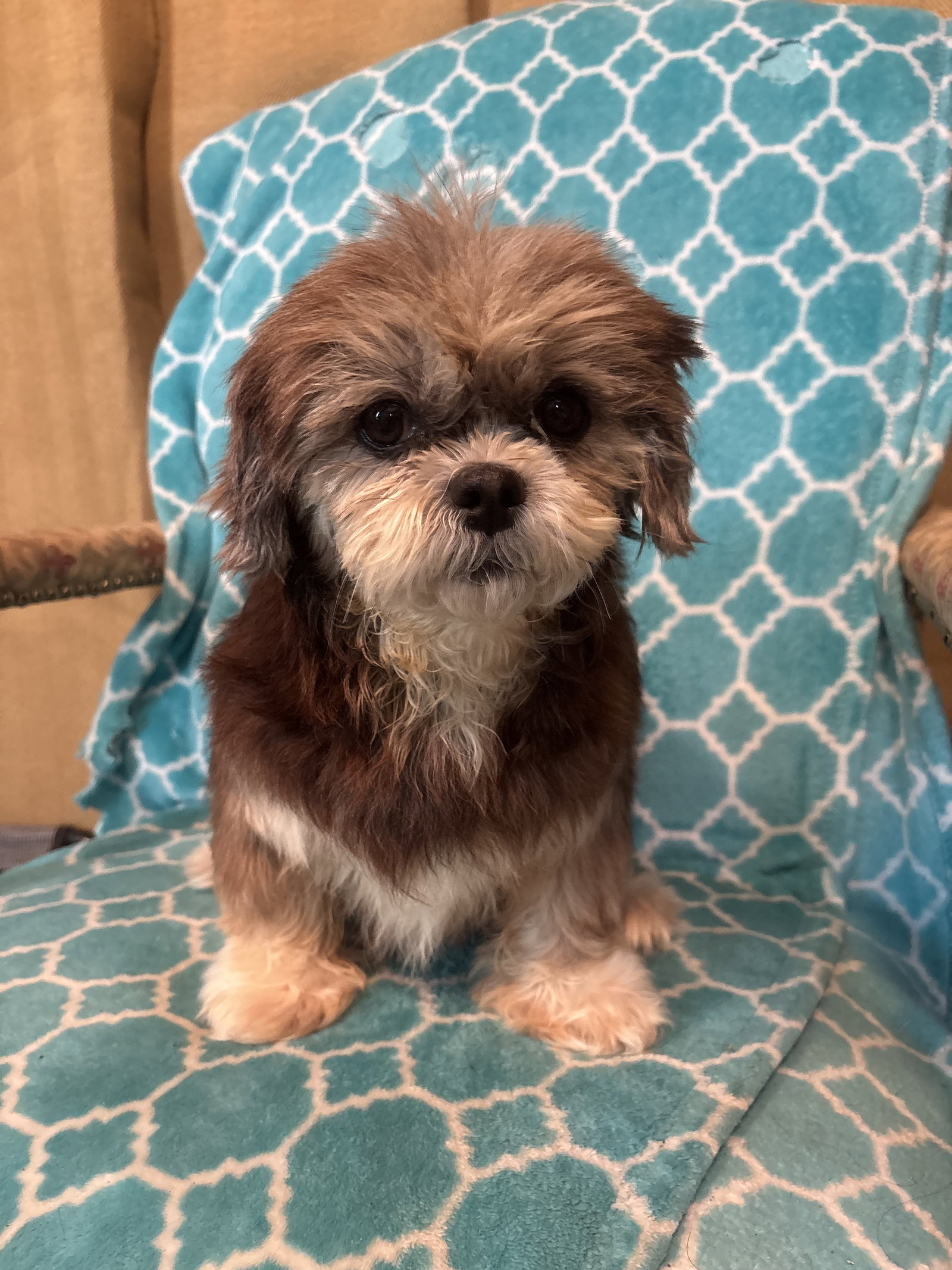 Photo of Nutmeg Mar 26