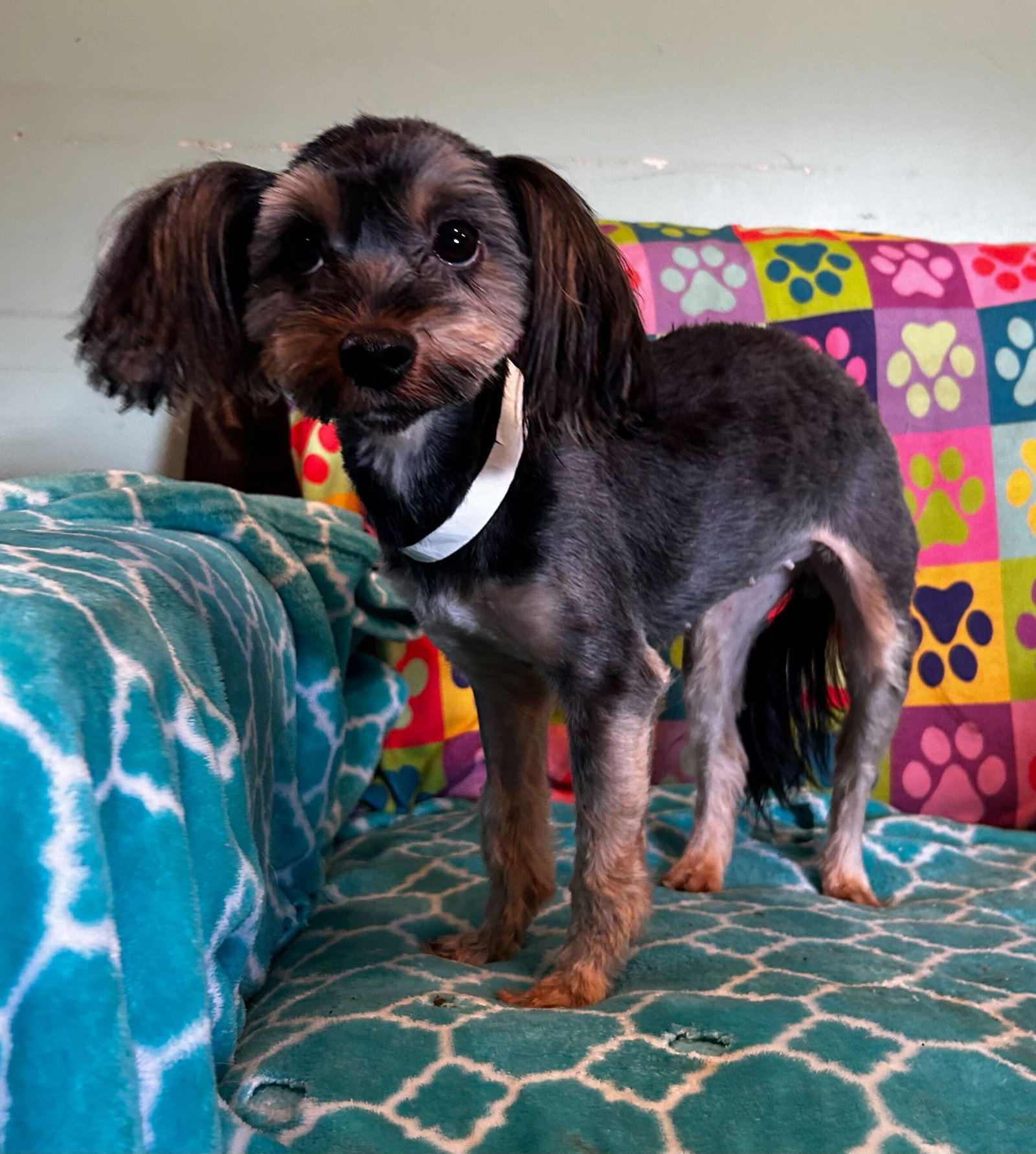 Photo 4 of 9 — Willow Mar 26