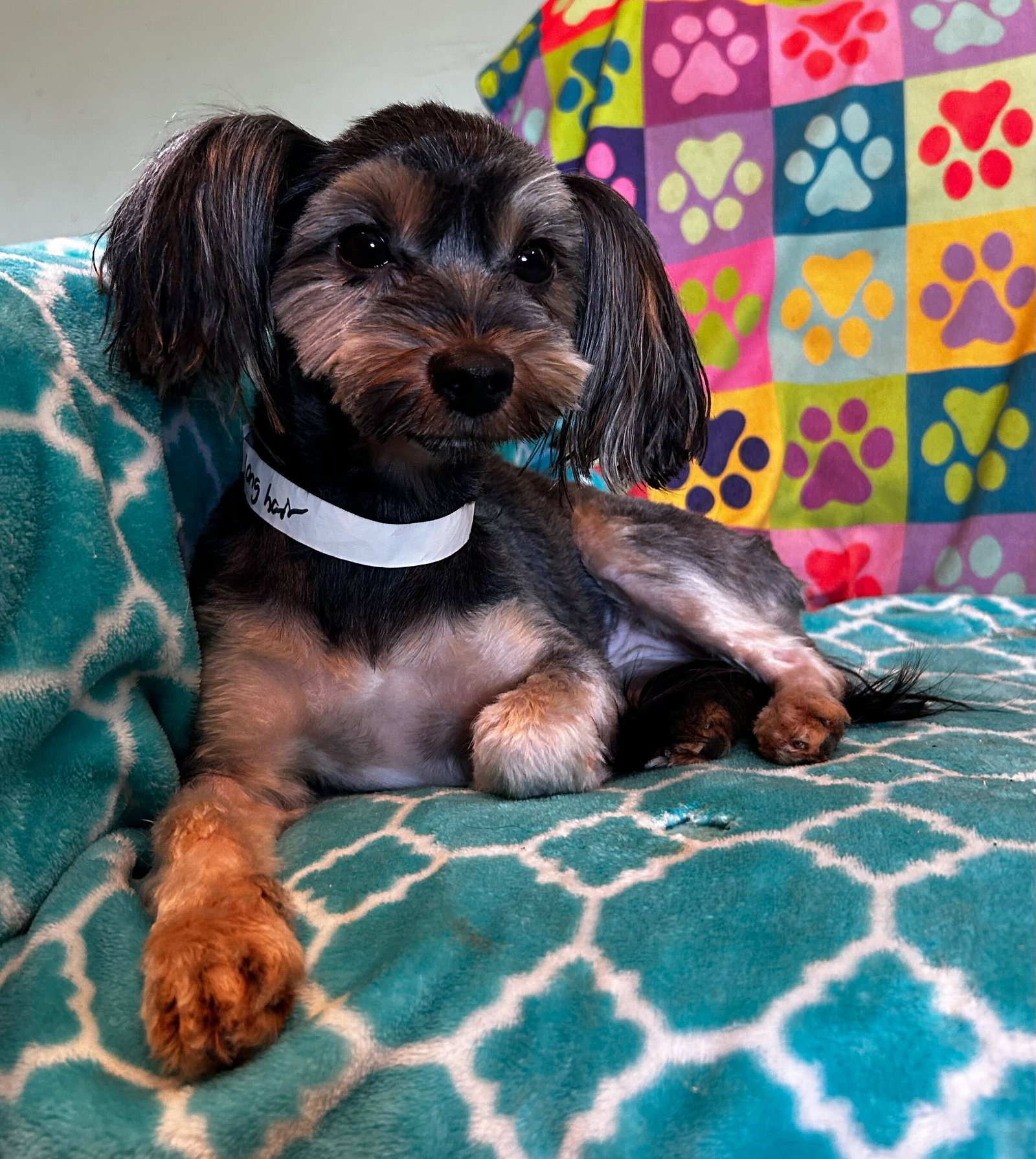 Photo 3 of 9 — Willow Mar 26