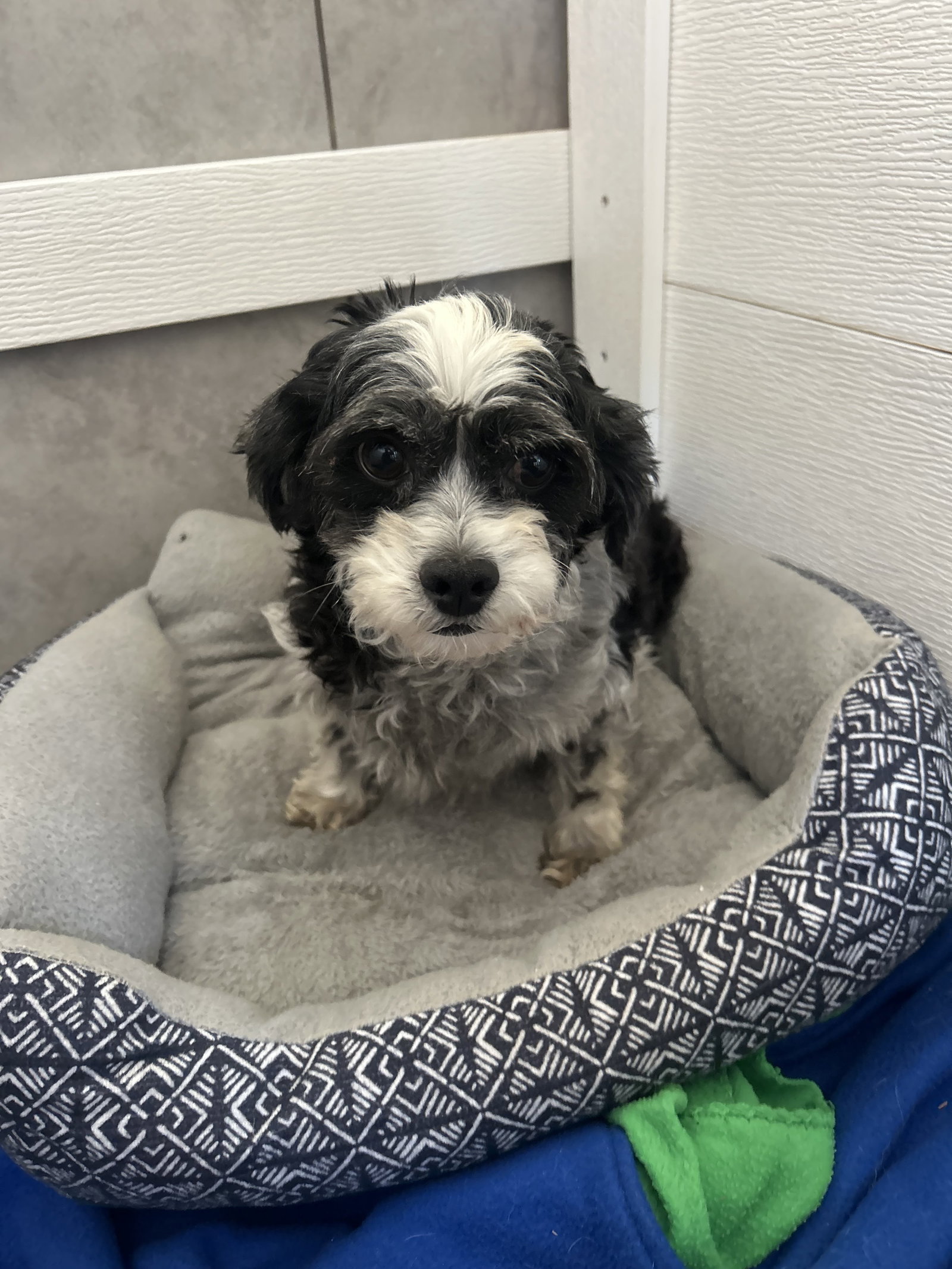 Photo 2 of 3 — Tootsie Mar 26
