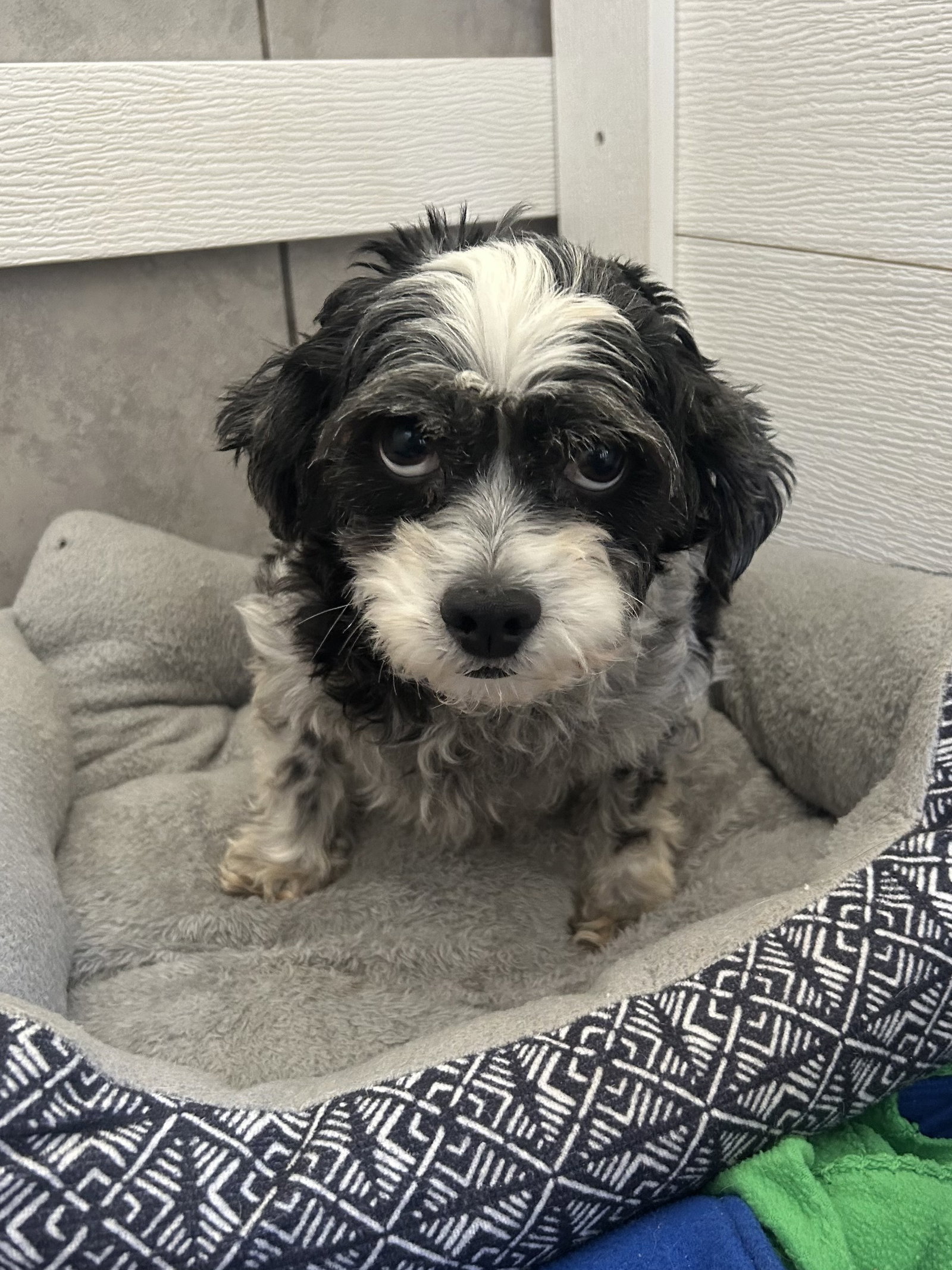 Photo 3 of 3 — Tootsie Mar 26