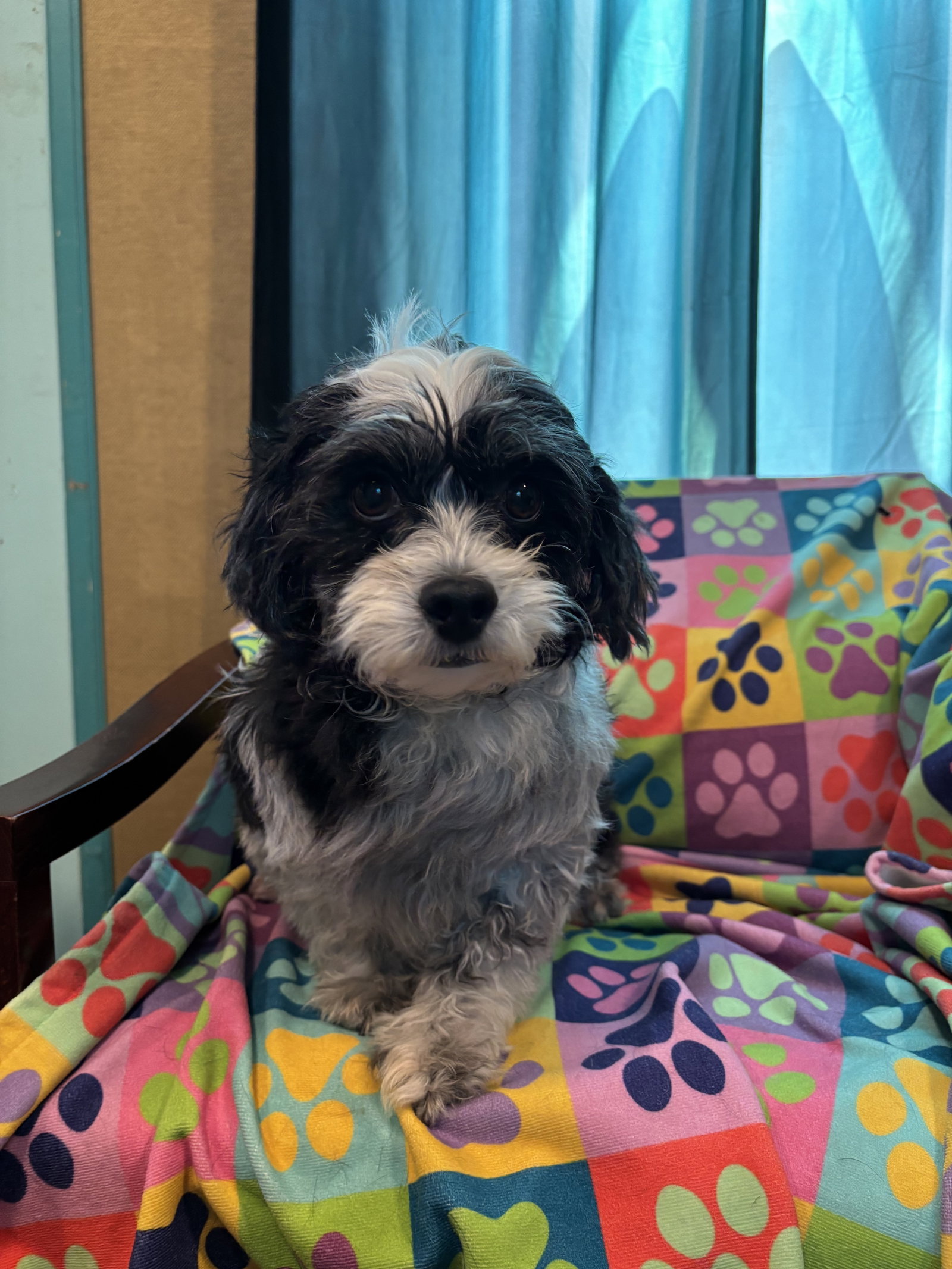 Photo of Tootsie Mar 26